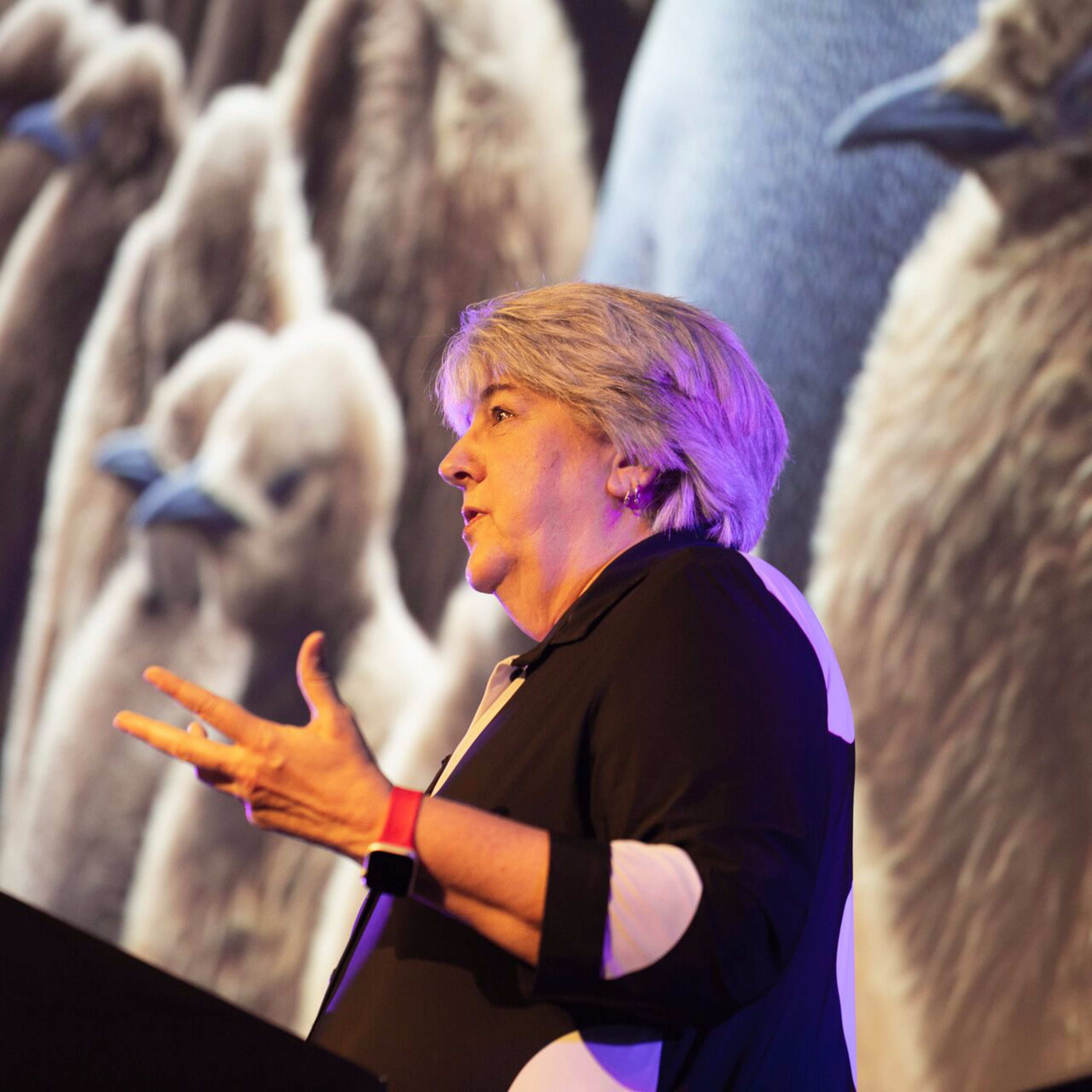 Karen Wickre (Author) on Building your network for life | #TNW2019