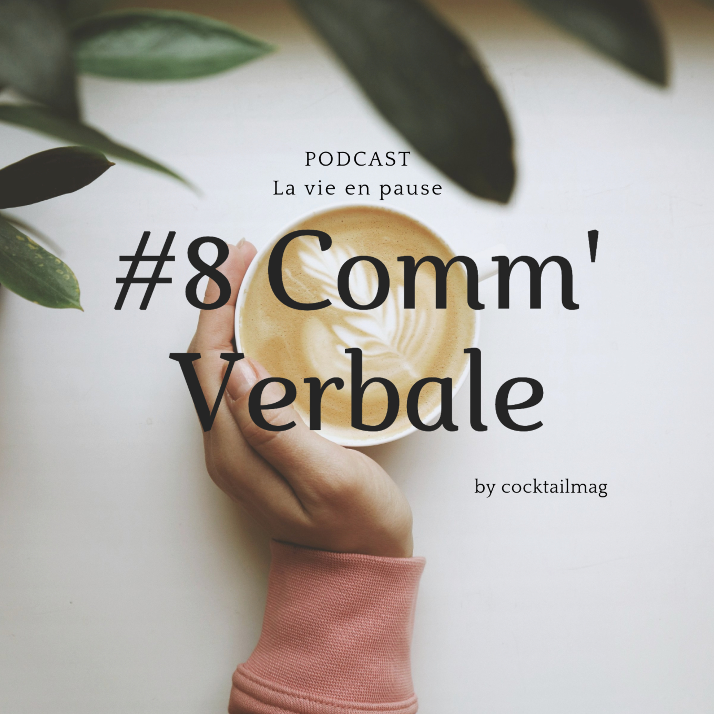 #8 > COMMUNICATION VERBALE < Comment se faire comprendre ? Le travail de toute une vie ! (2nd degré, ironie, moquerie, synthétiser, argumenter, etc)