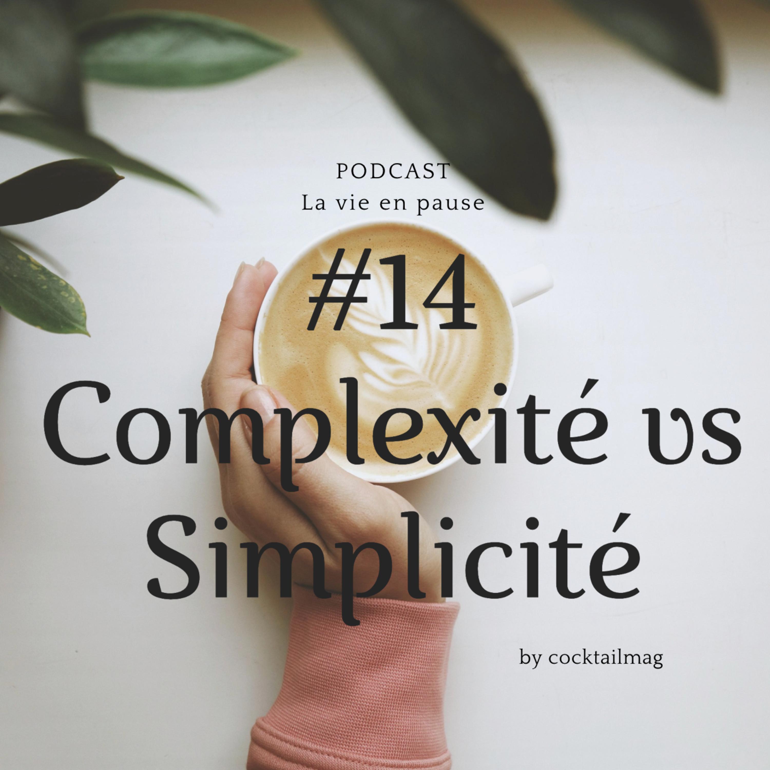 #14 > COMPLEXITÉ vs SIMPLICITÉ < Quels sont les besoins, les attentes, les comportements d'un fonctionnement complexe ?