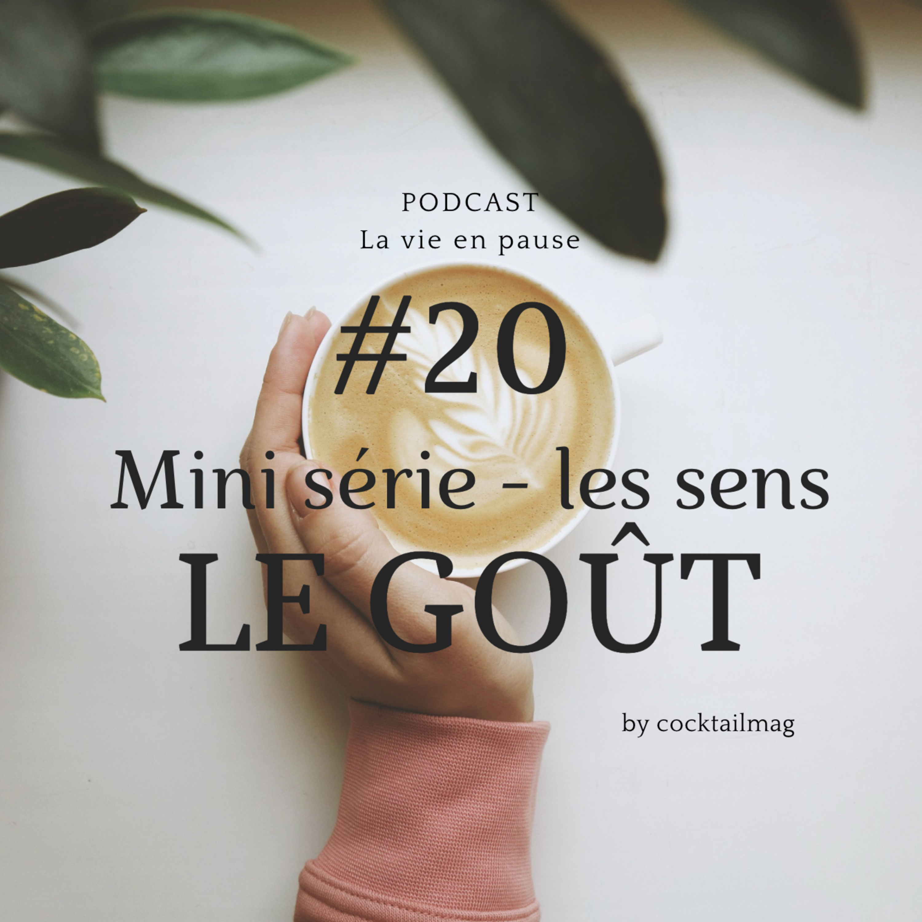#20 Mini série - les sens > LE GOÛT ET LES COULEURS < Hypersensibilité, allergies, inflexibilité gustative, troubles digestifs, créativité...