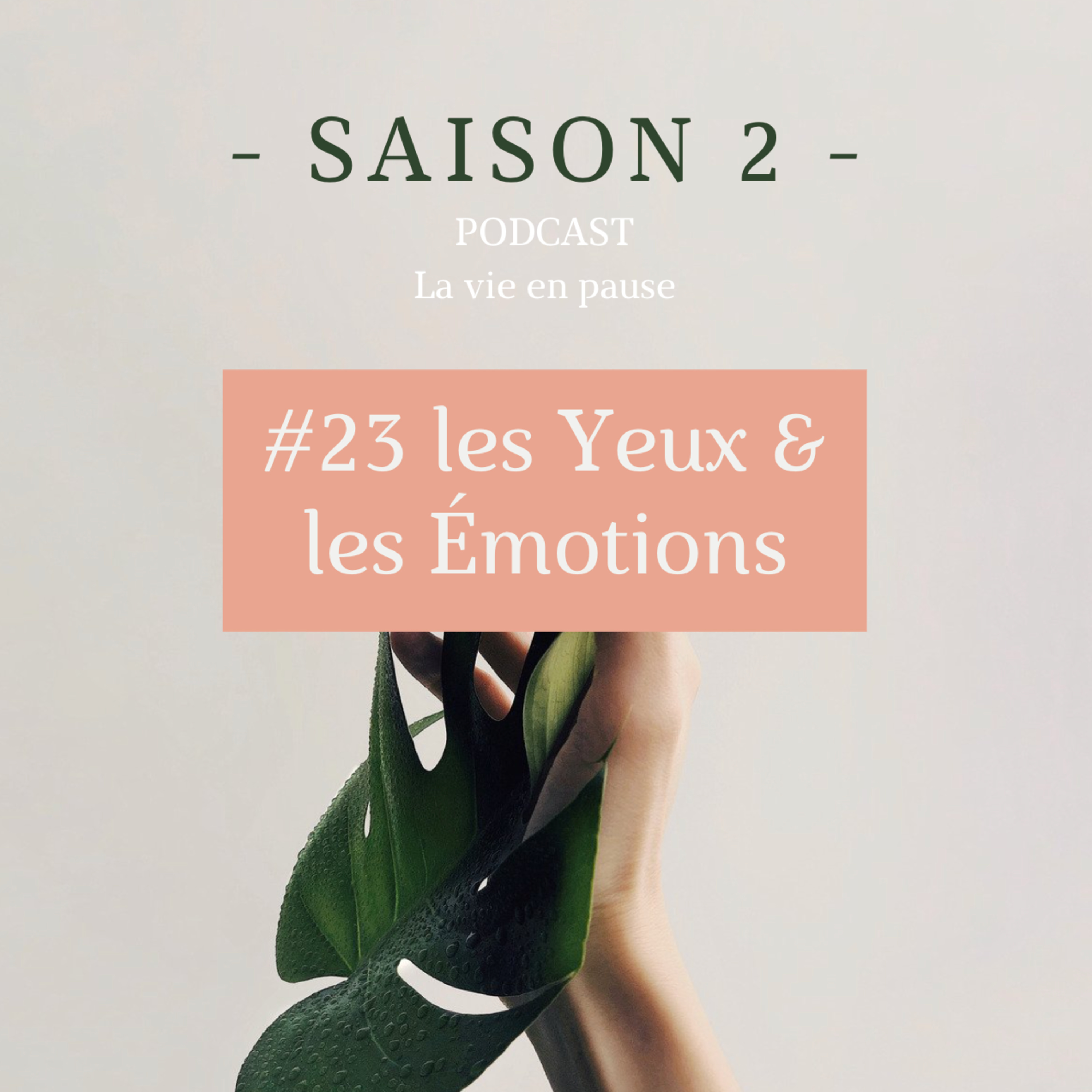 #23 > LES YEUX & LES ÉMOTIONS < A travers le regard d'une Femme Autiste Asperger, Hypersensible & Haut Potentiel ?