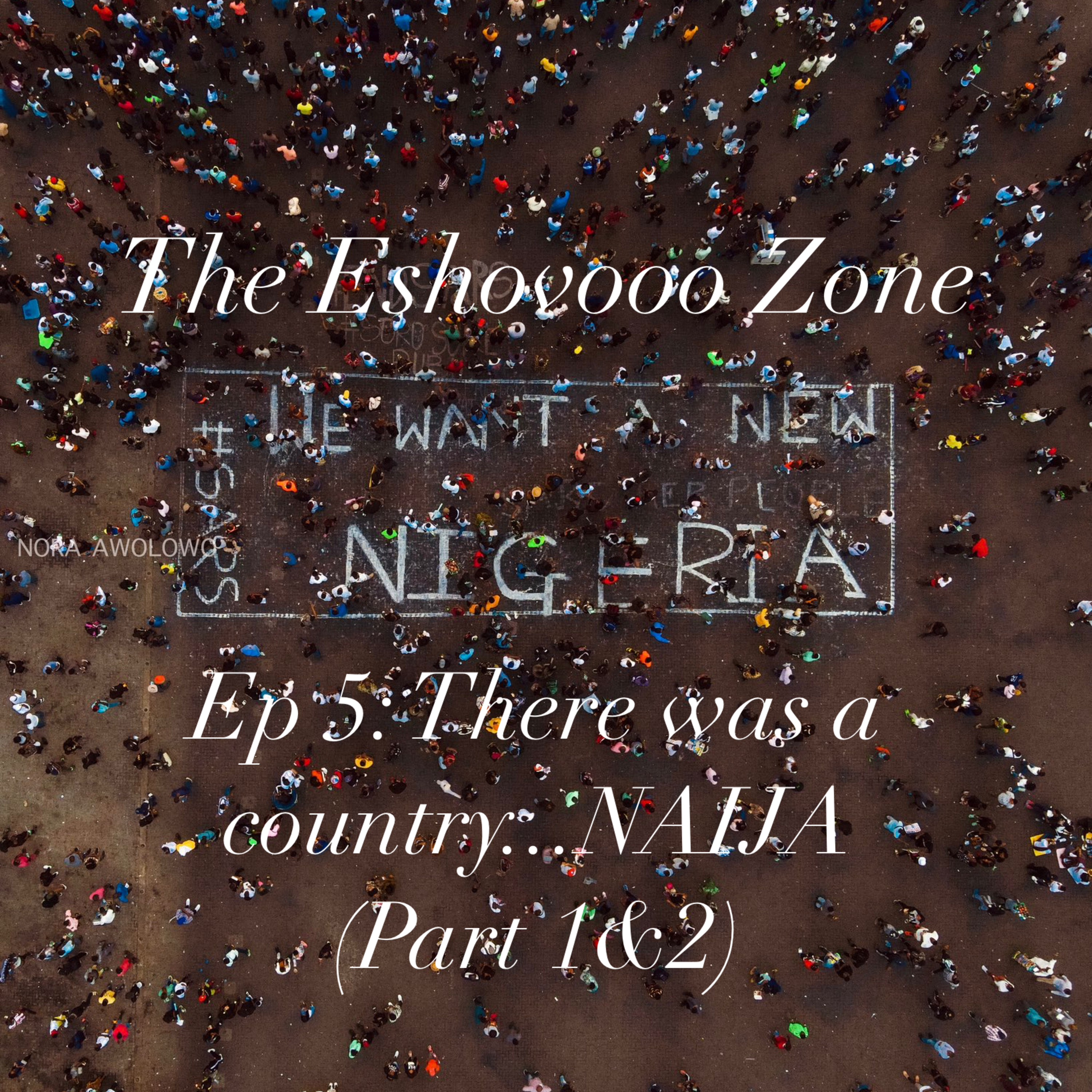 THERE WAS A COUNTRY...NAIJA!!!(Part 1&2)