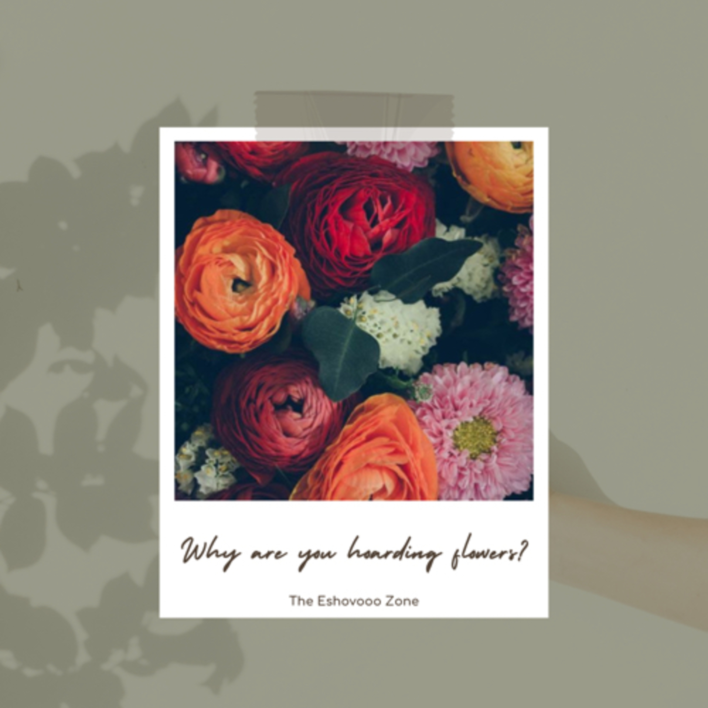 Why are you hoarding flowers?