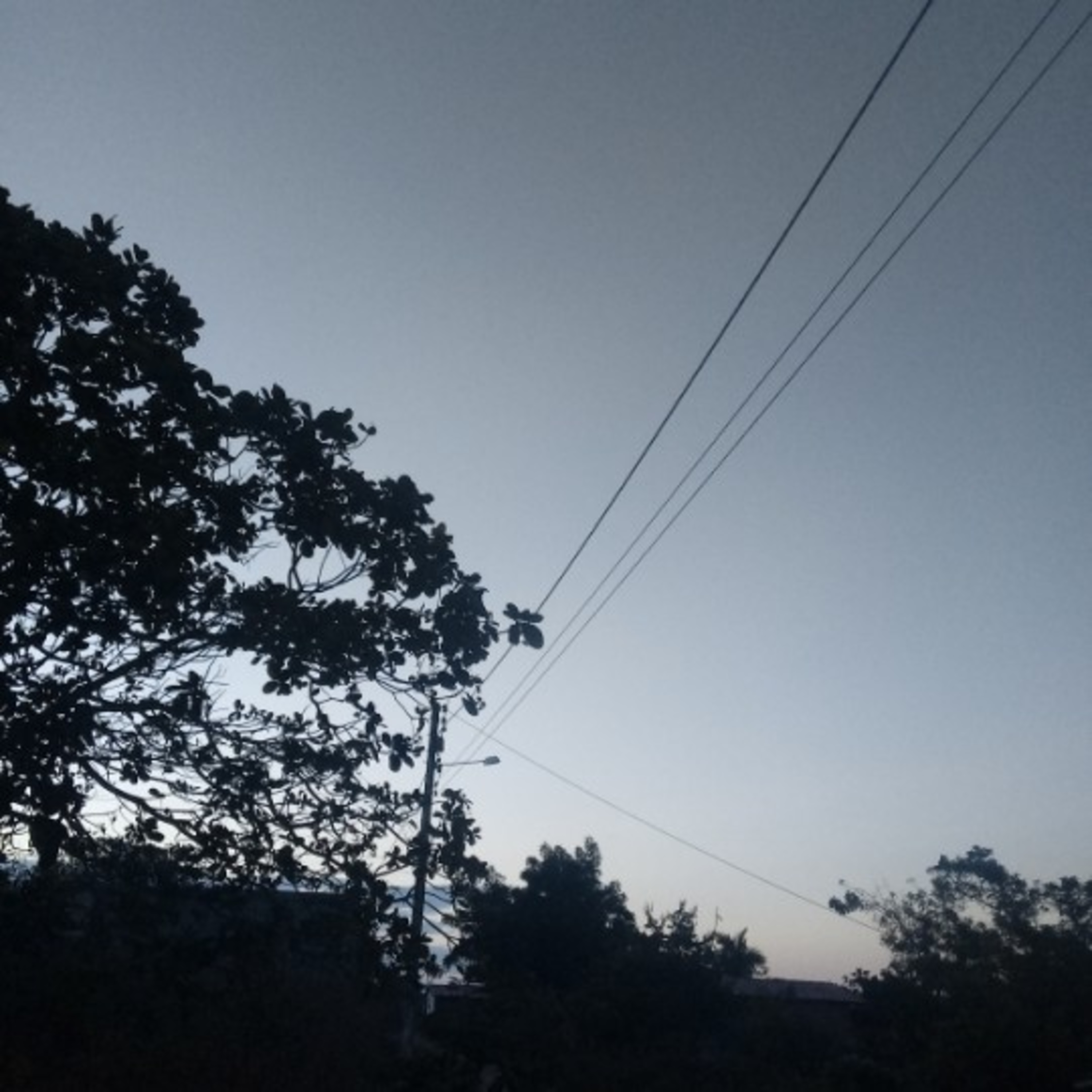 Poeta De Luz