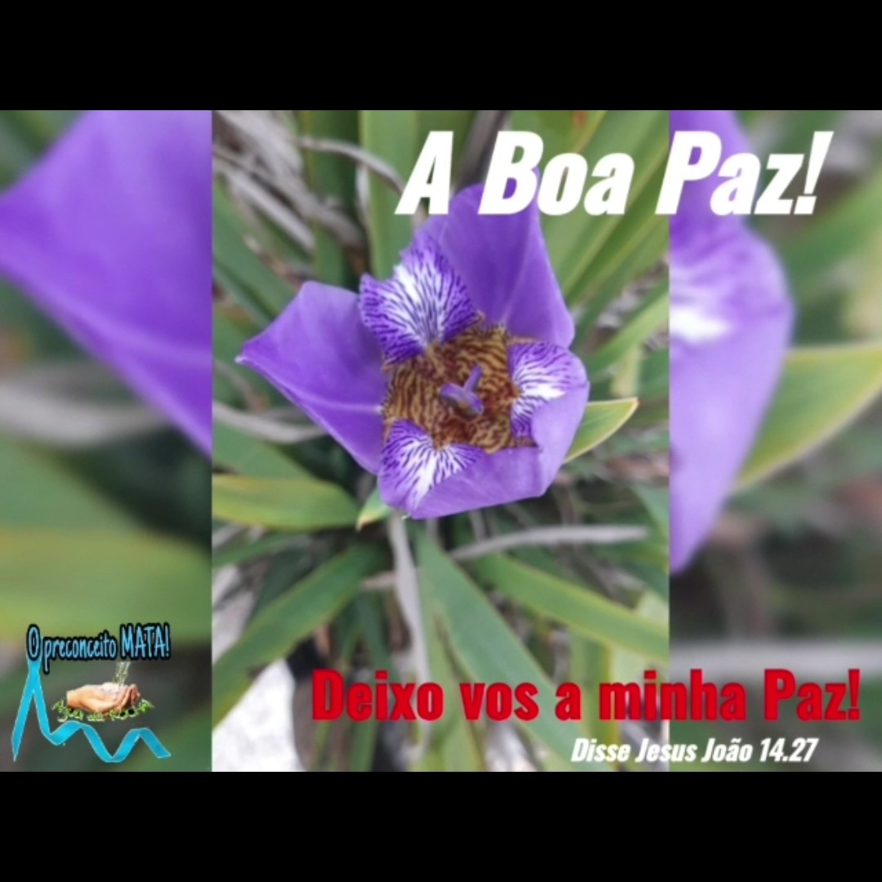 Saudação de boas Vindas