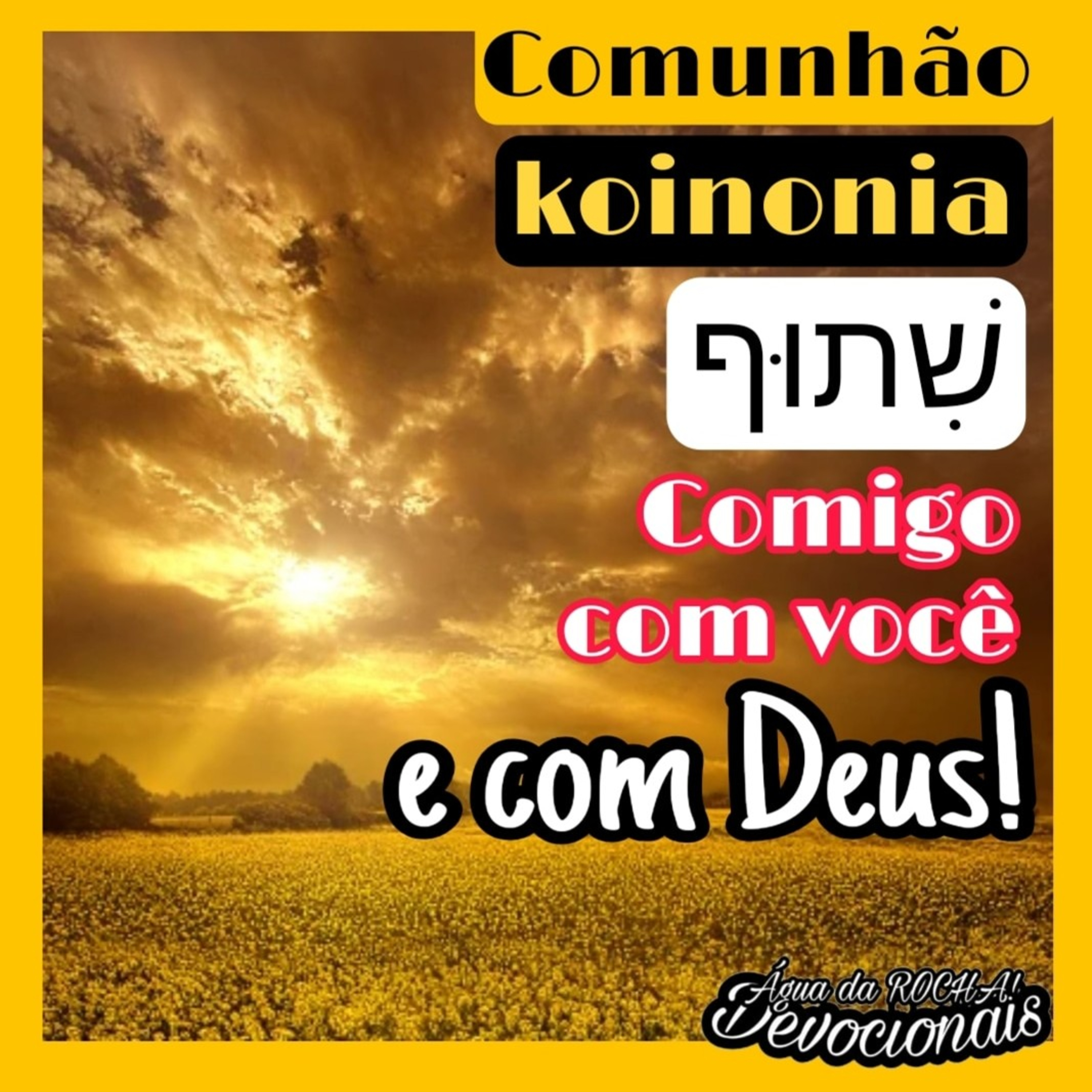 Saudação de boas Vindas