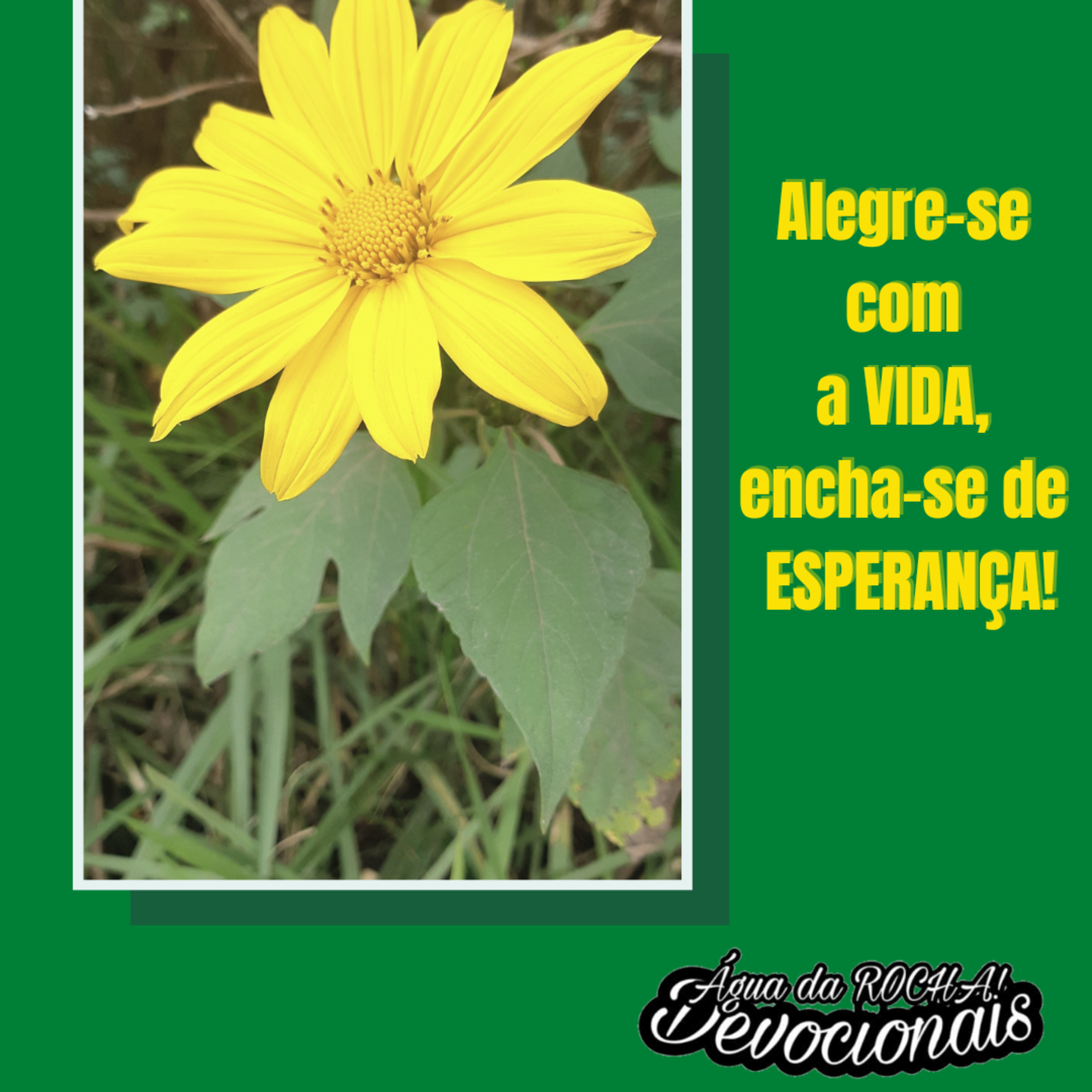 Saudação de boas Vindas