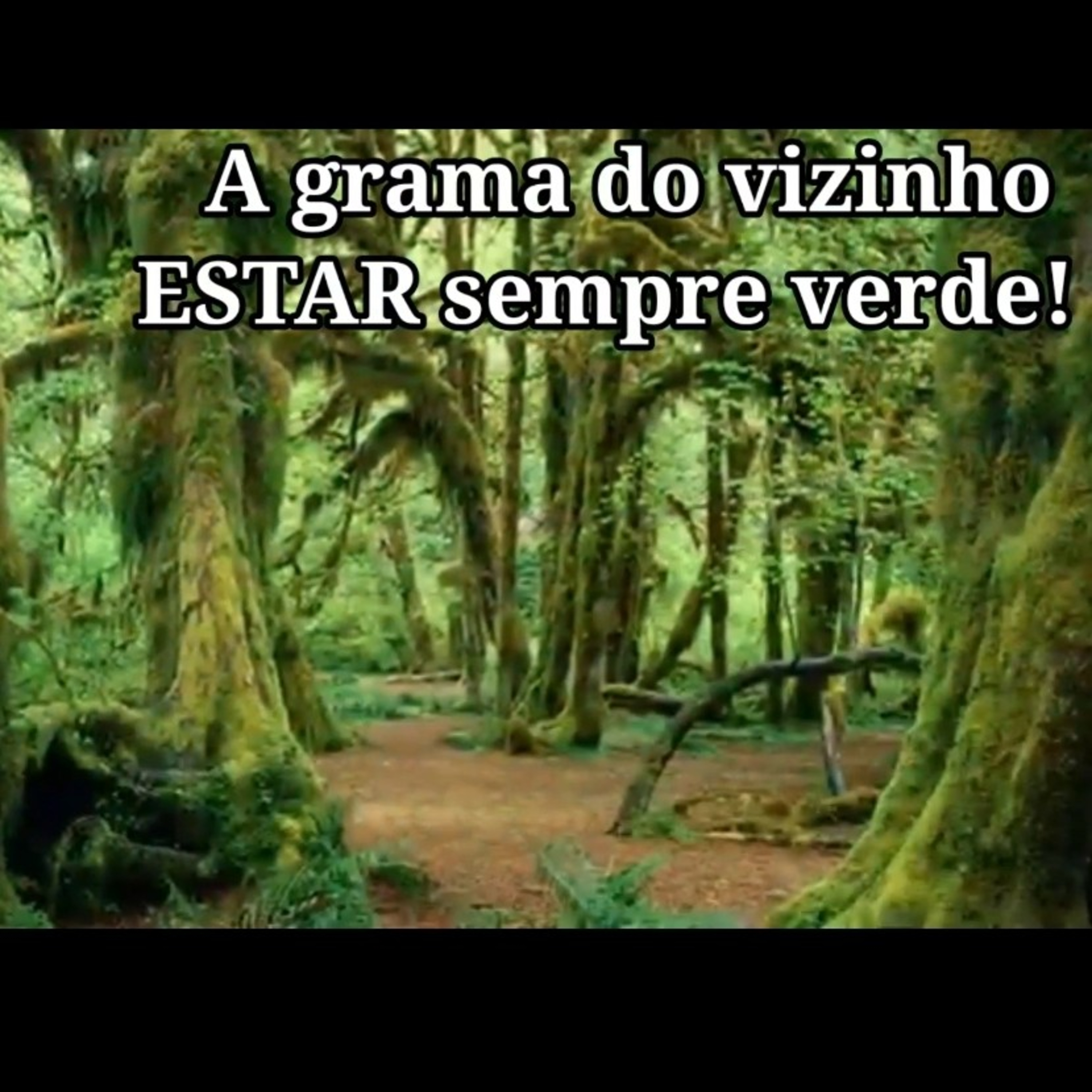 Saudação de boas Vindas
