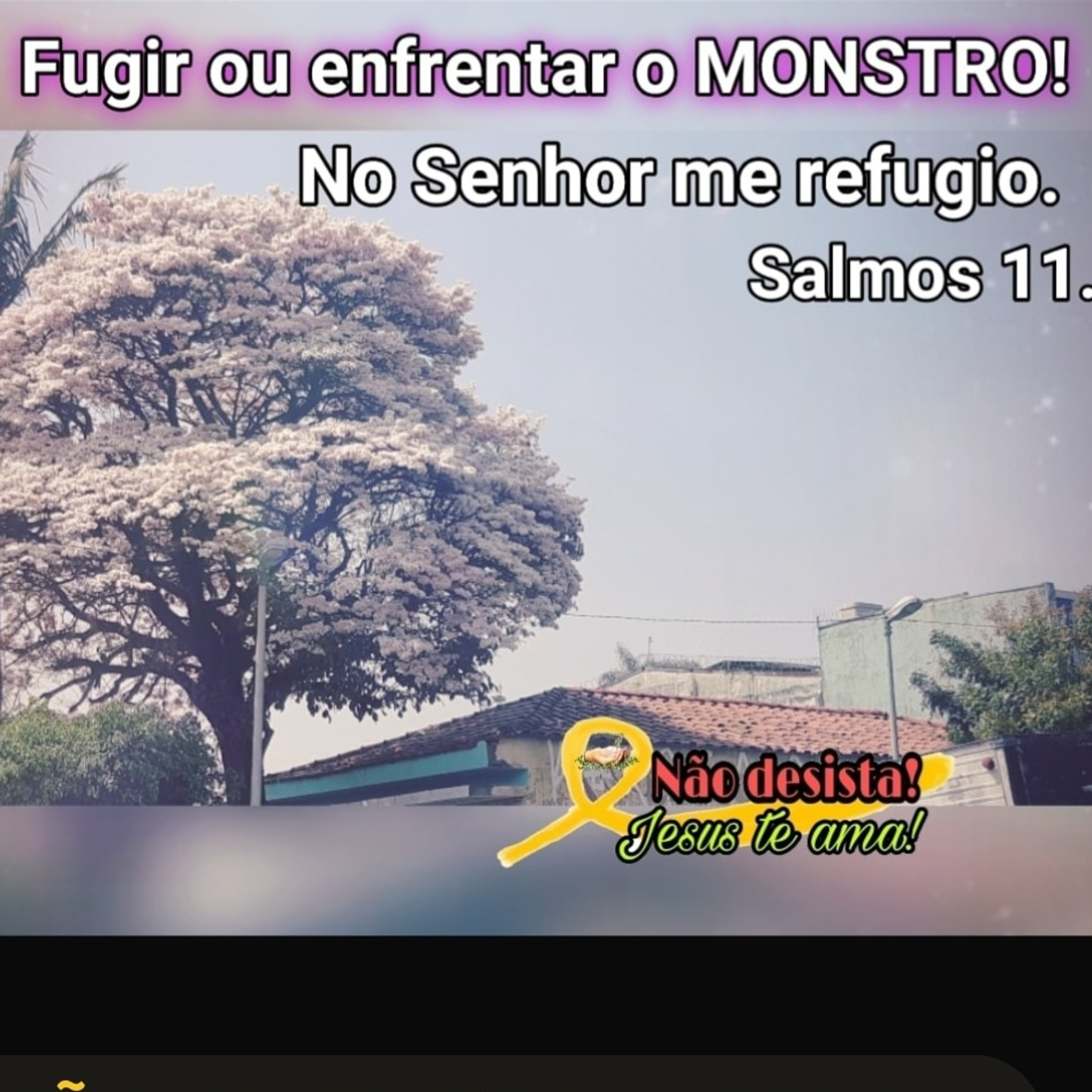 Saudação de boas Vindas