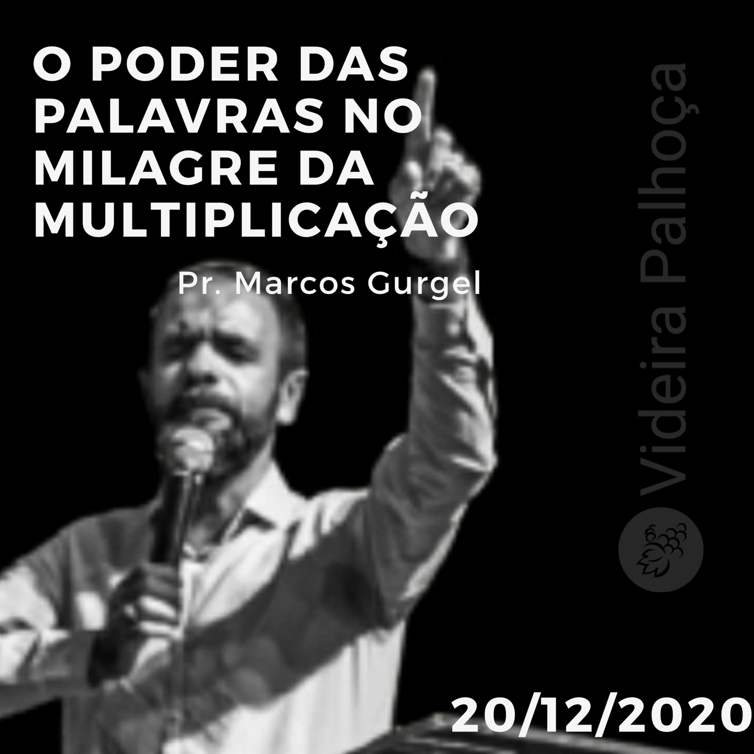 Videira Palhoça