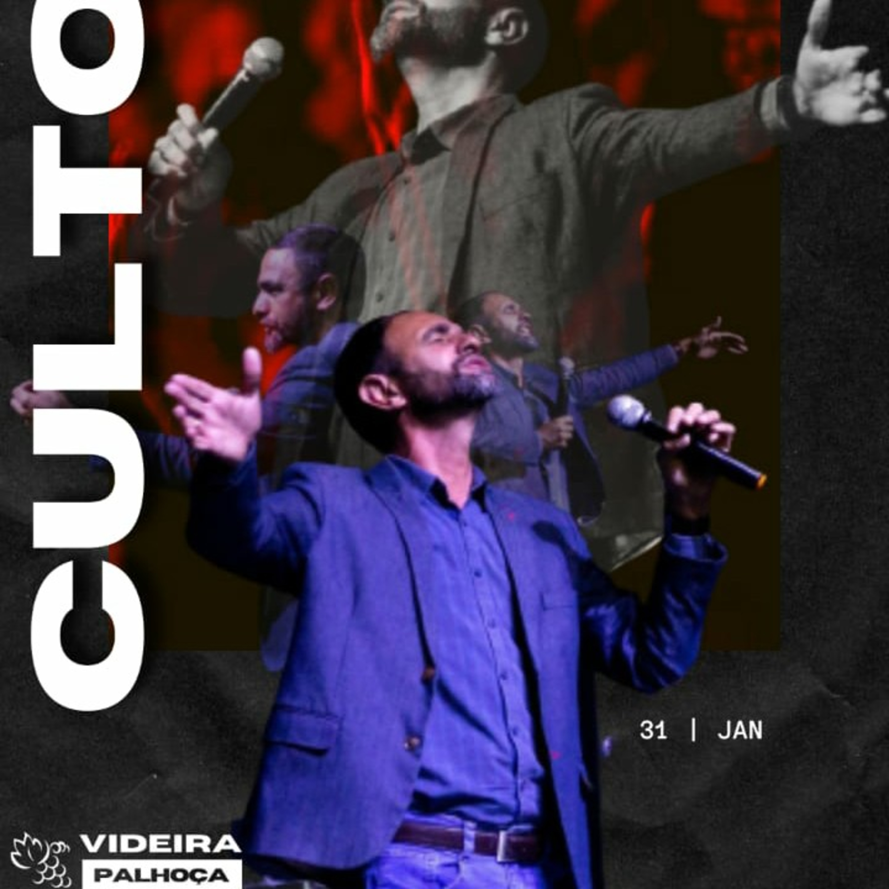 Videira Palhoça