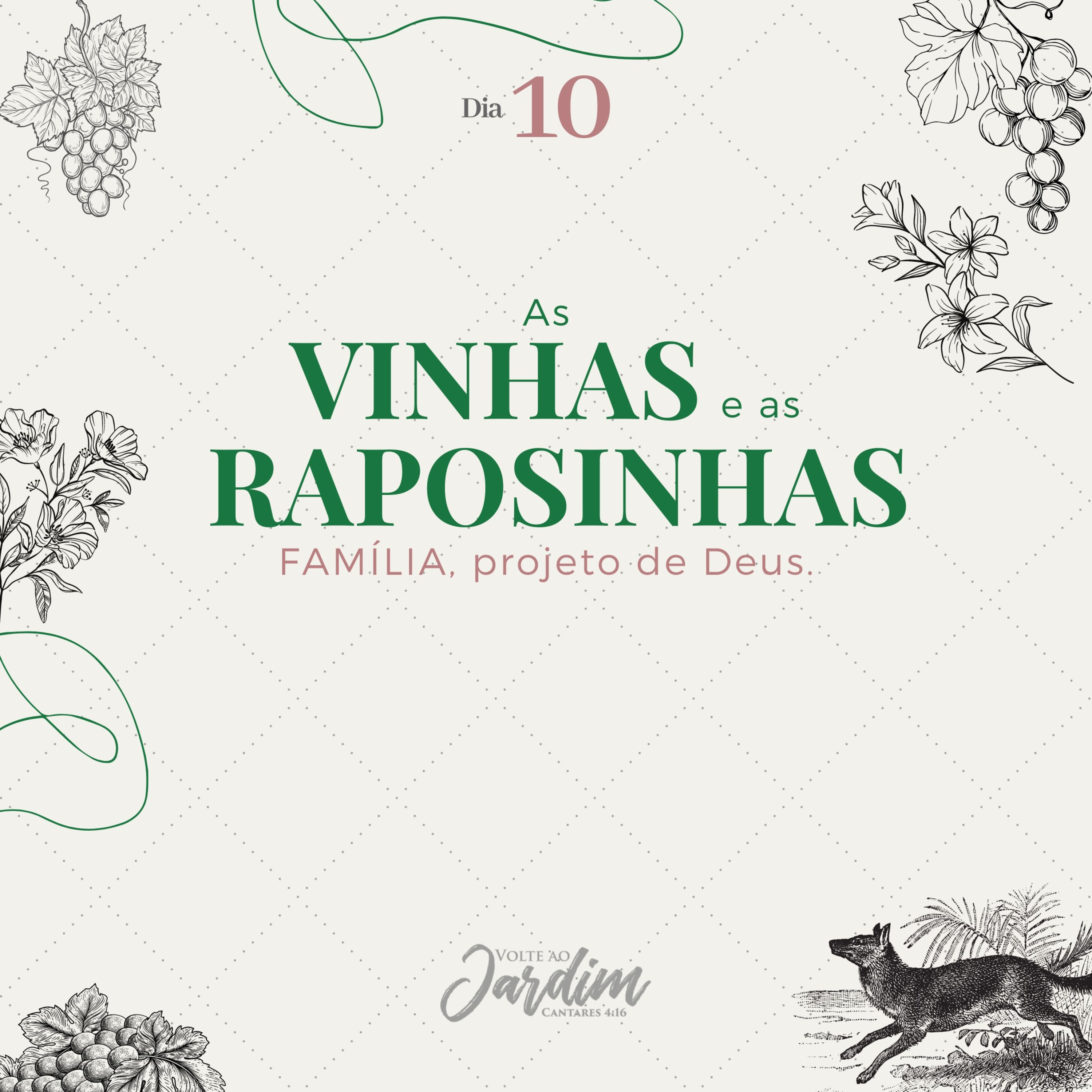 Episódio 10: as vinhas e as raposinhas episode artwork