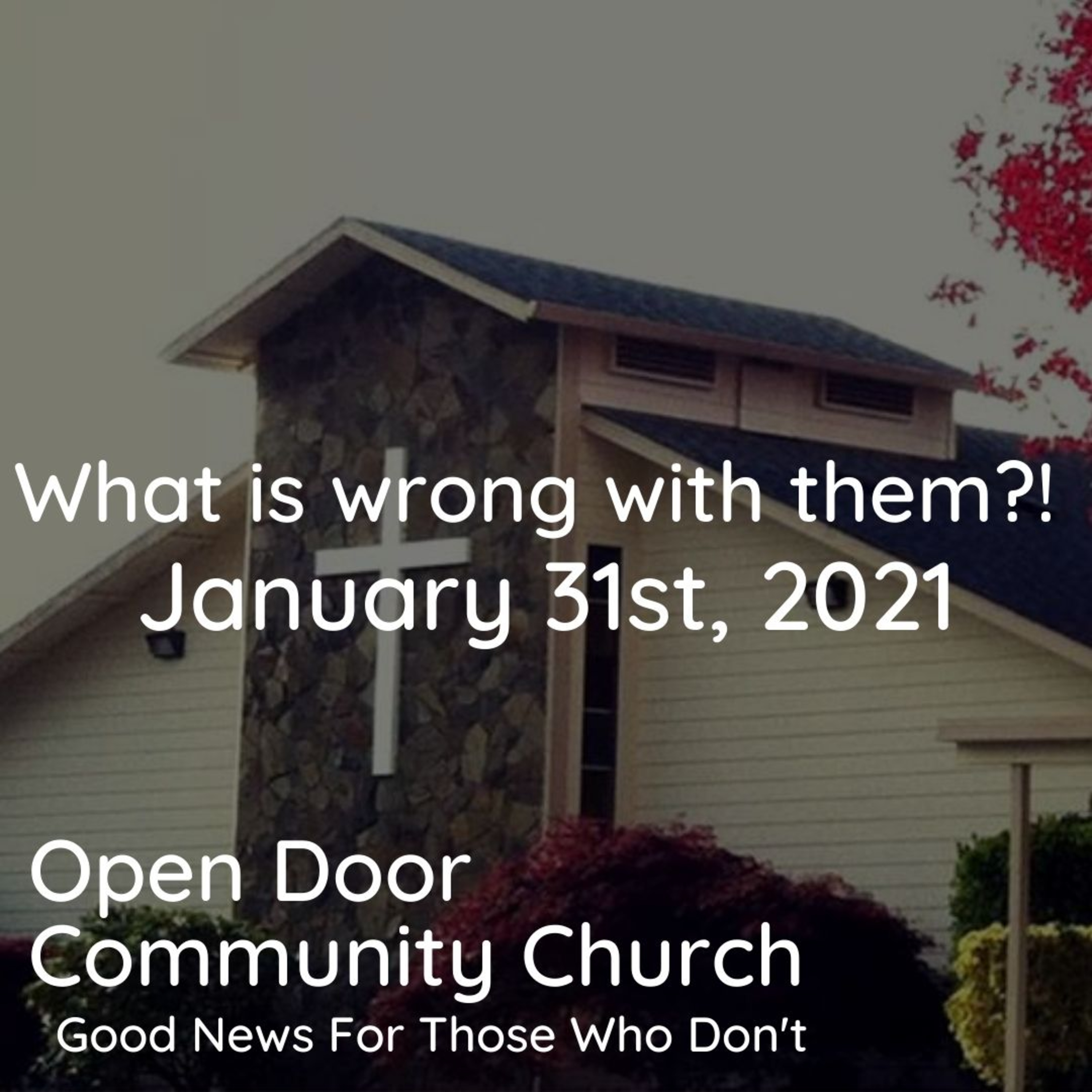 What is wrong with THEM?! (1.31.21)