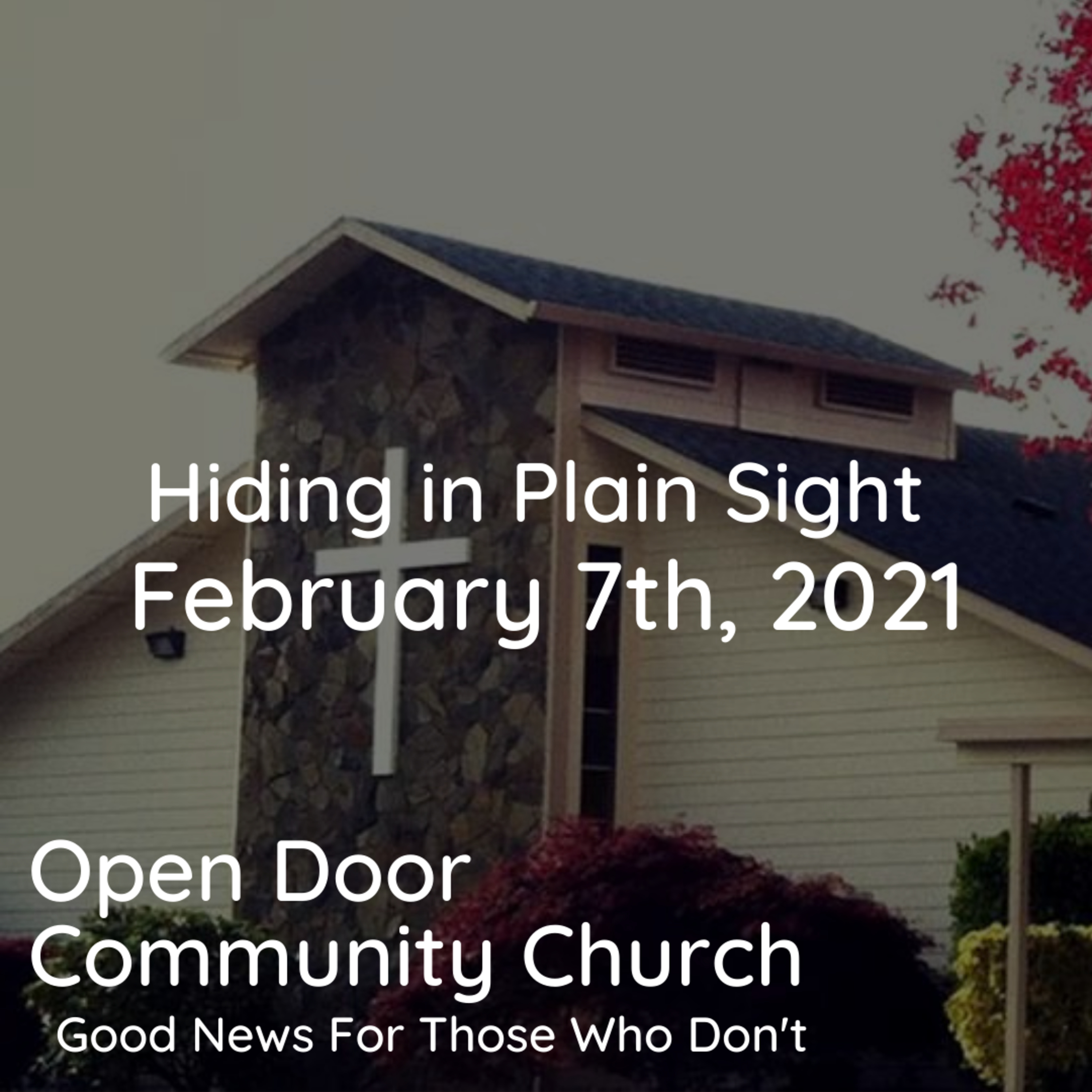 Hiding in Plain Sight (2.7.21) episode artwork