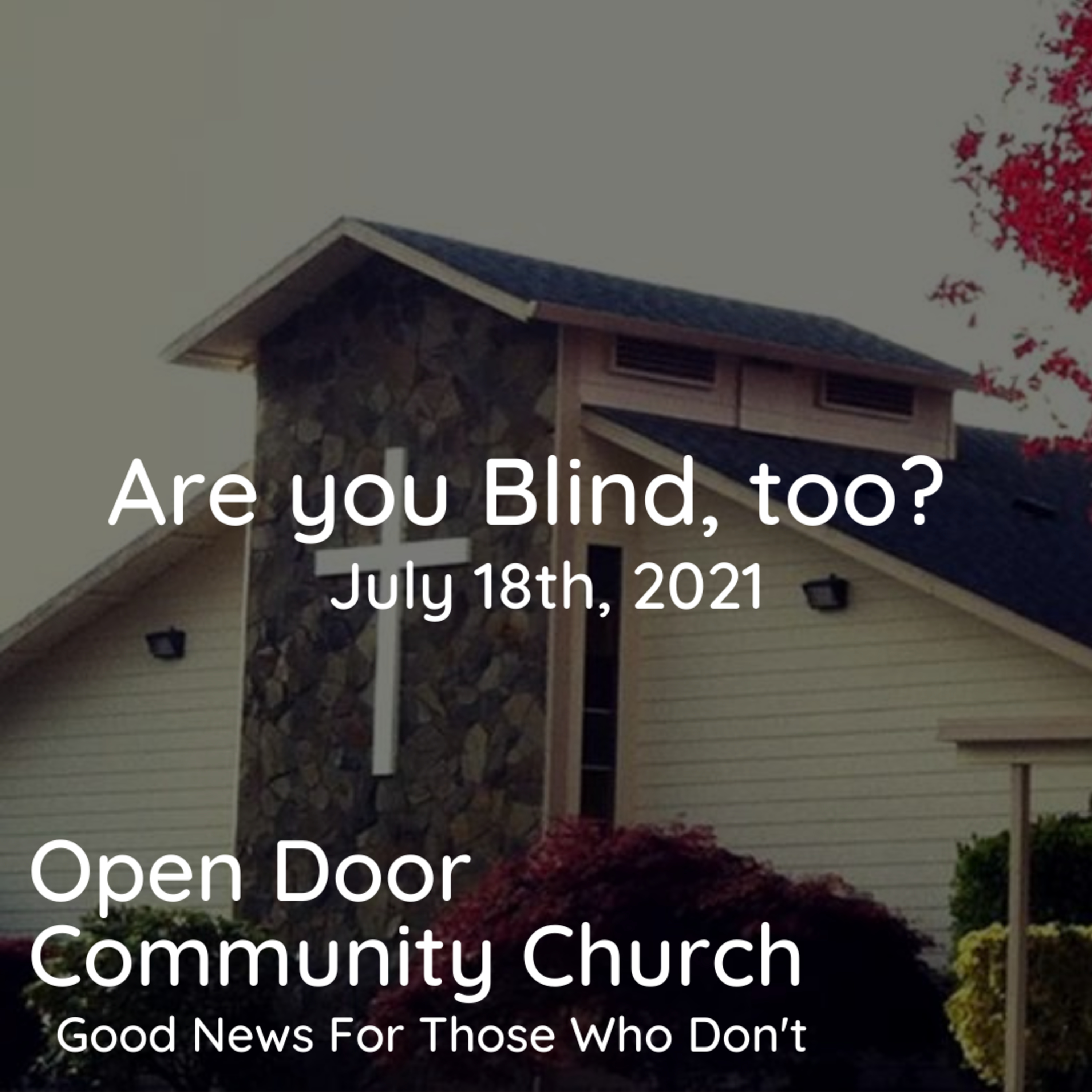 Are you blind, too? (7.18.21) episode artwork