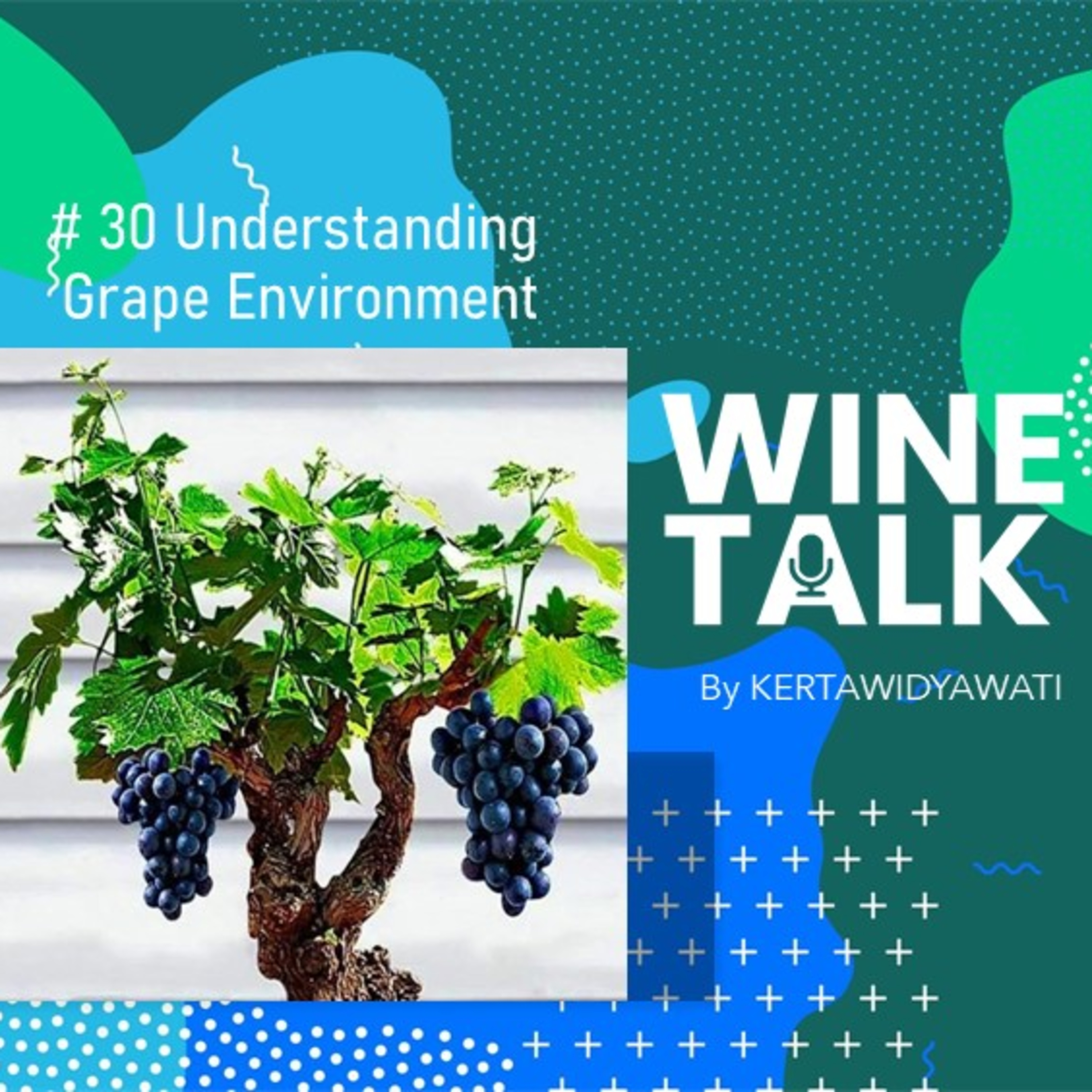 Wine Talk By Kertawidyawati