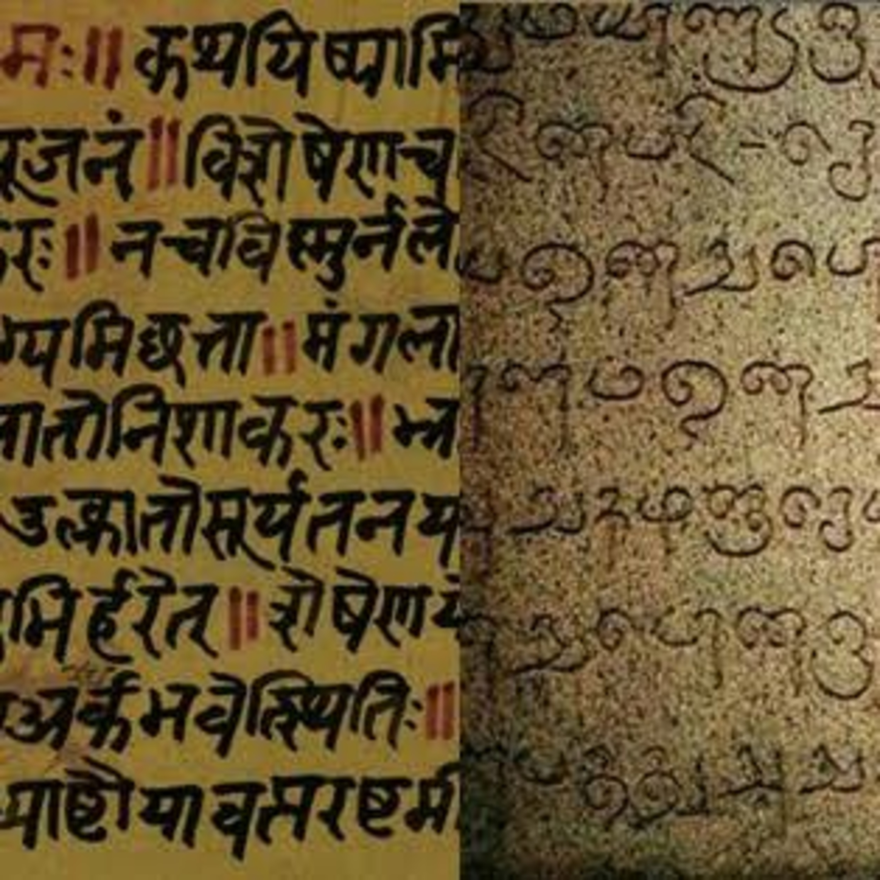 Sanskrit and Tamil the Dipoles of our country episode artwork