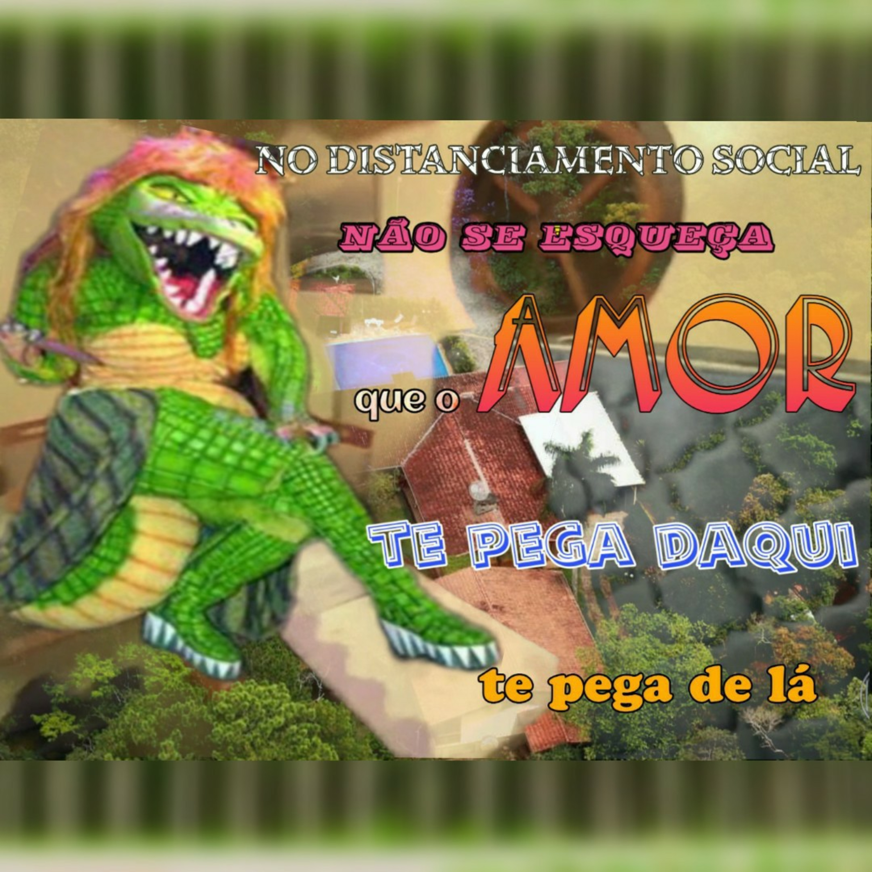Eucalipto