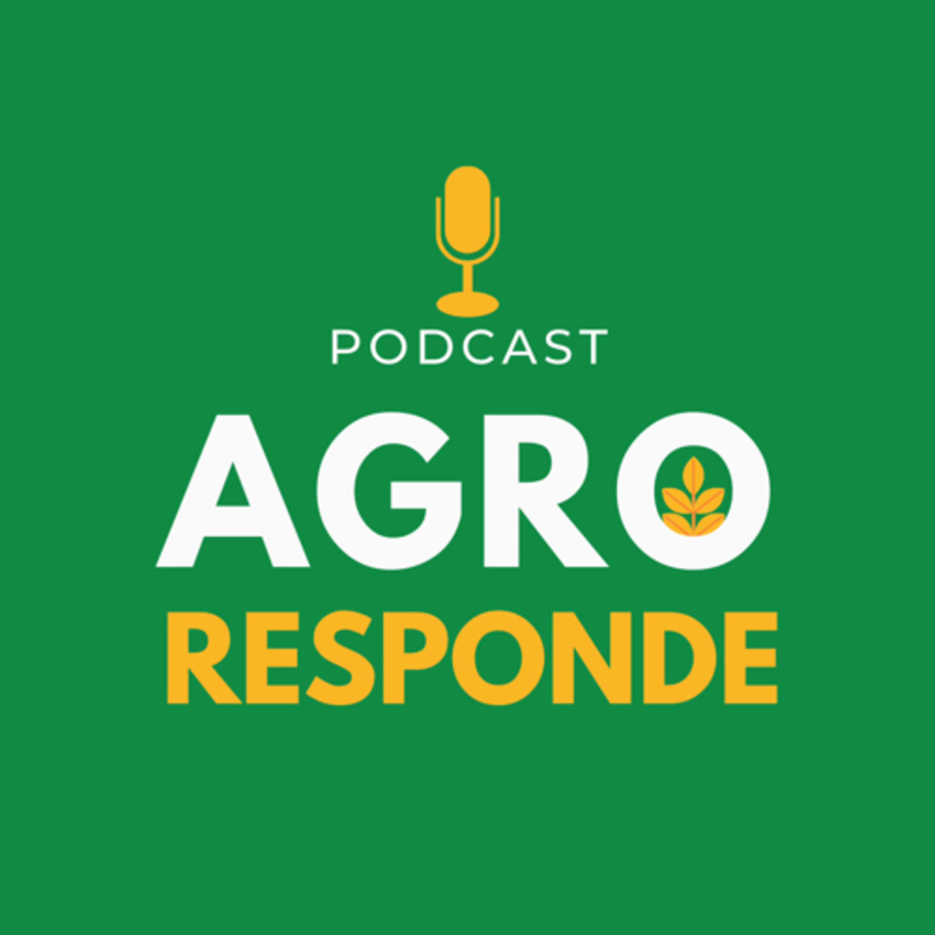 Ep 01 - Apresentação do canal Agro Responde.