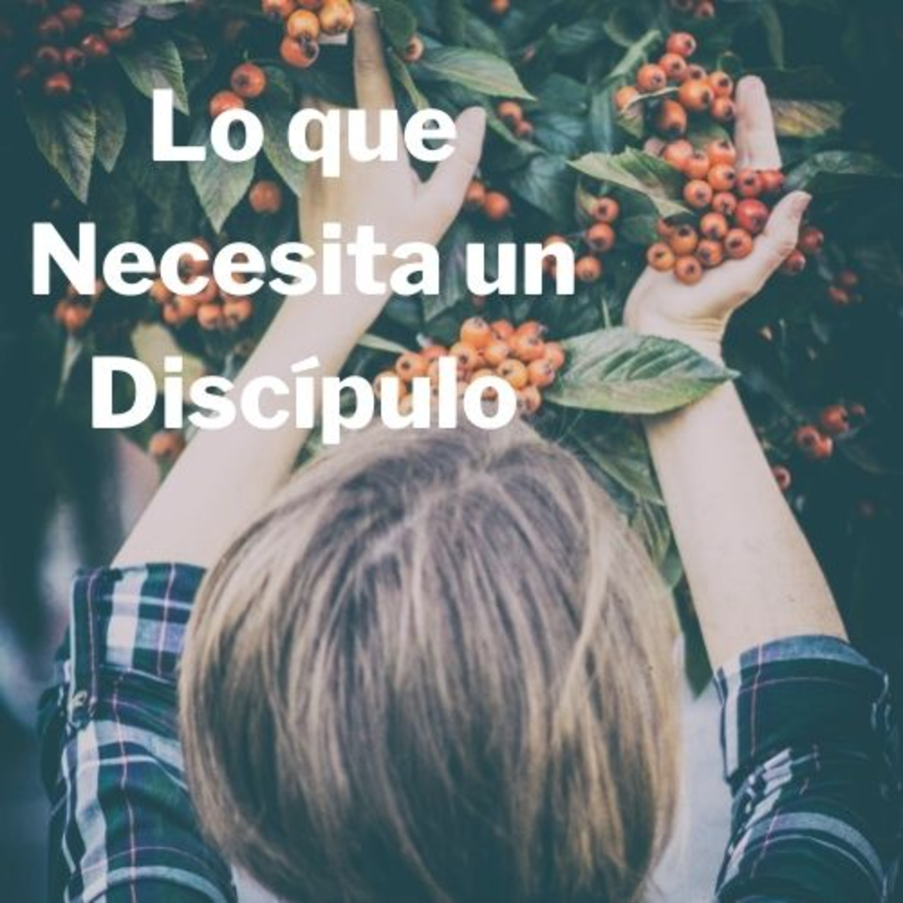 Iglesia CNC
