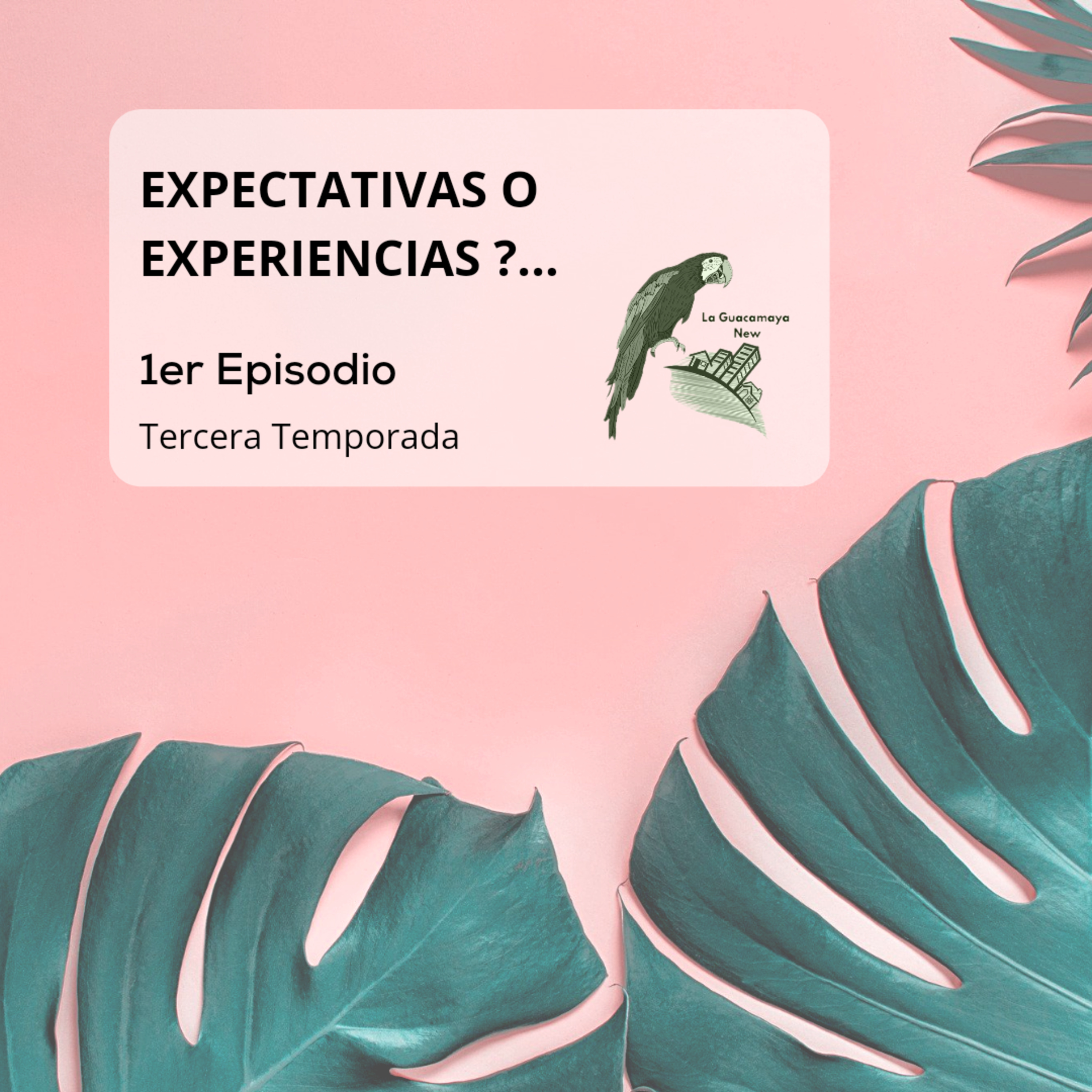Expectativas o Experiencias? episode artwork