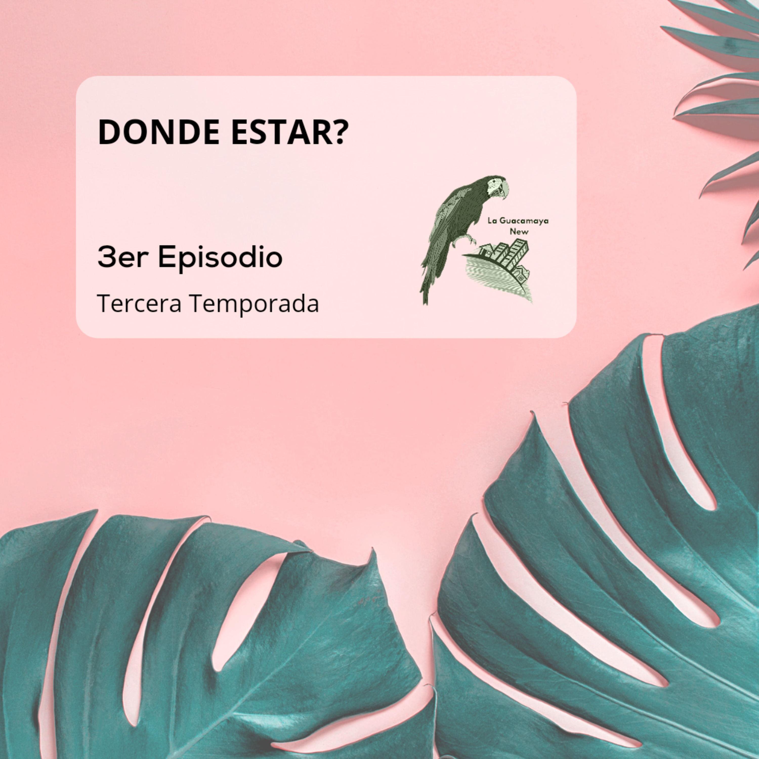 Donde Estar? episode artwork