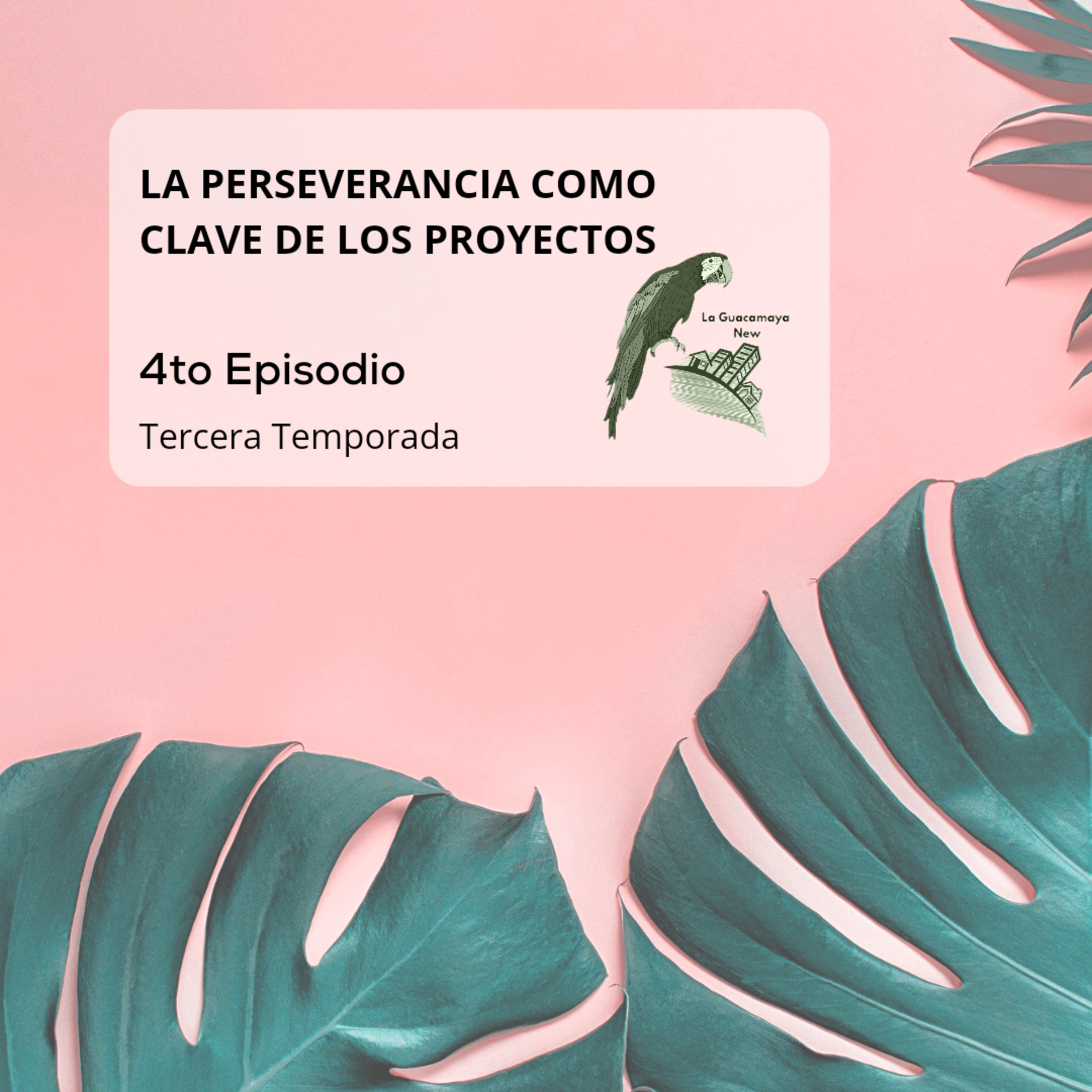 La Perseverancia como clave de los proyectos! episode artwork