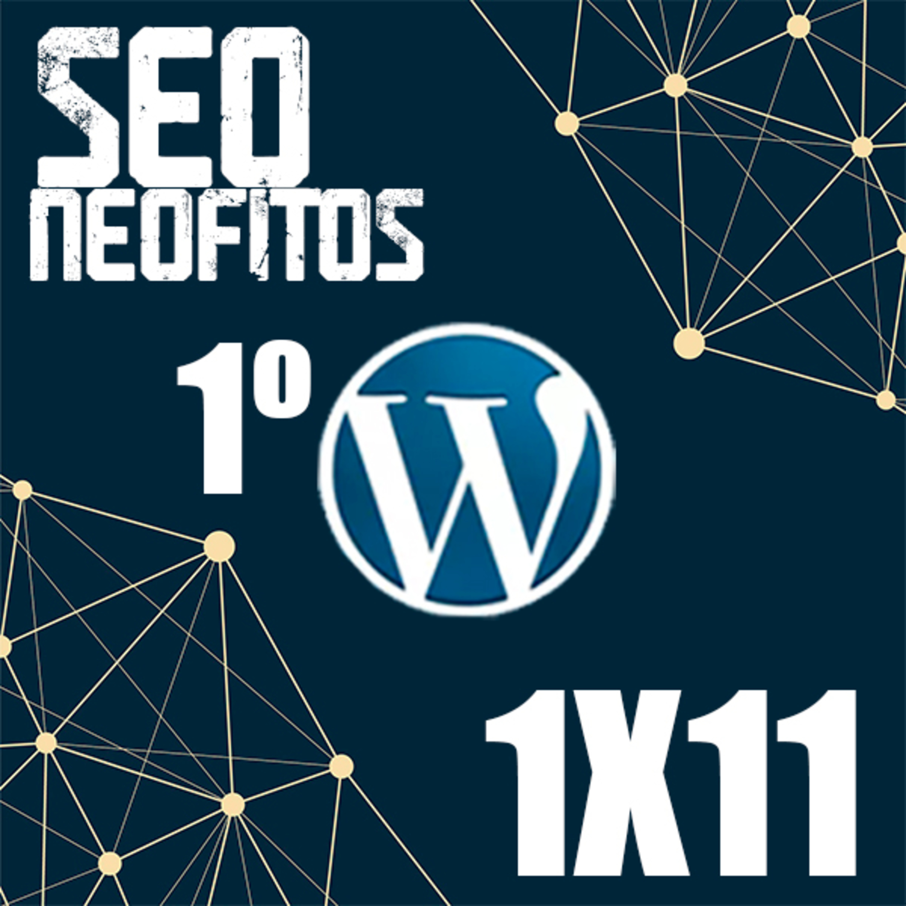 SEOneofitos