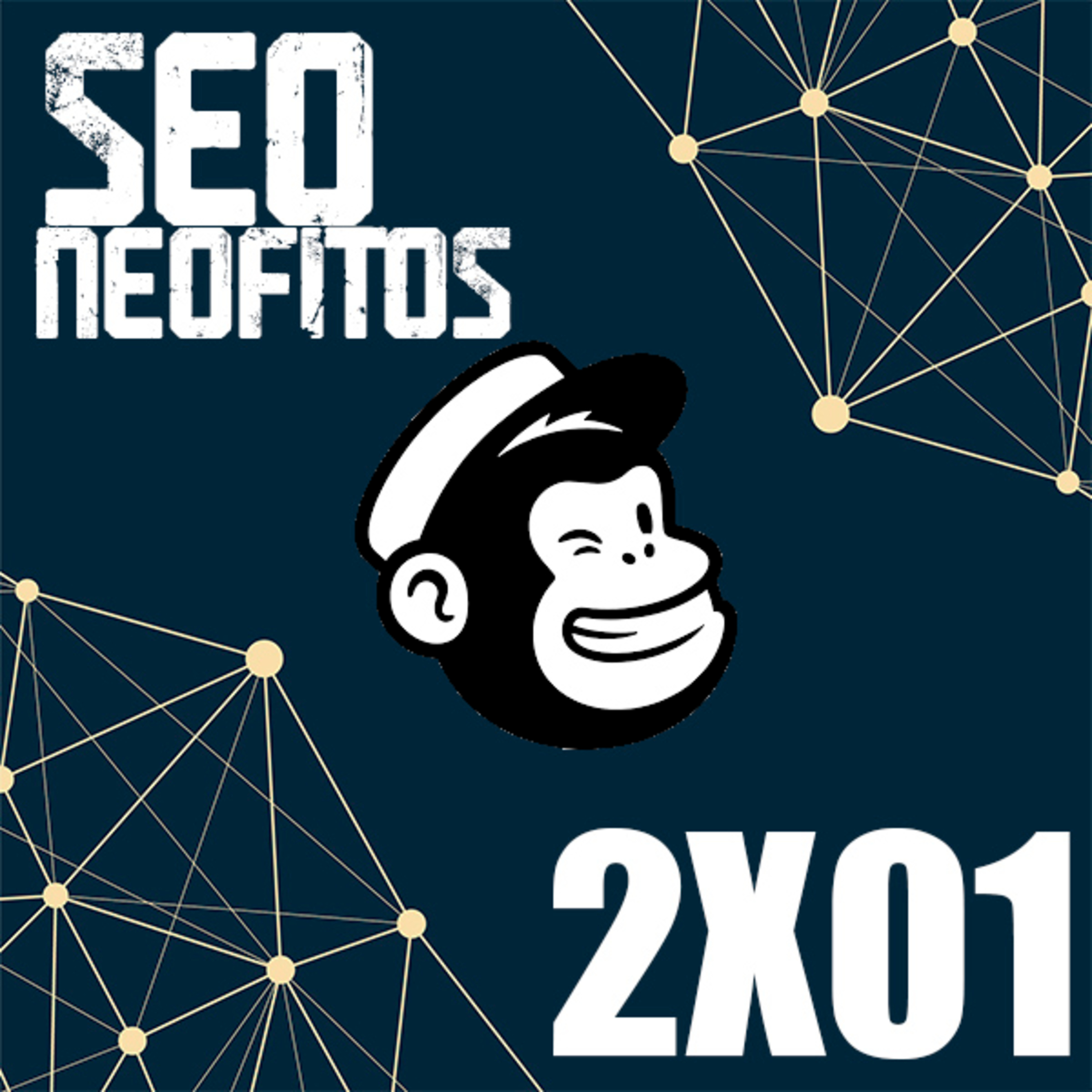 SEOneofitos