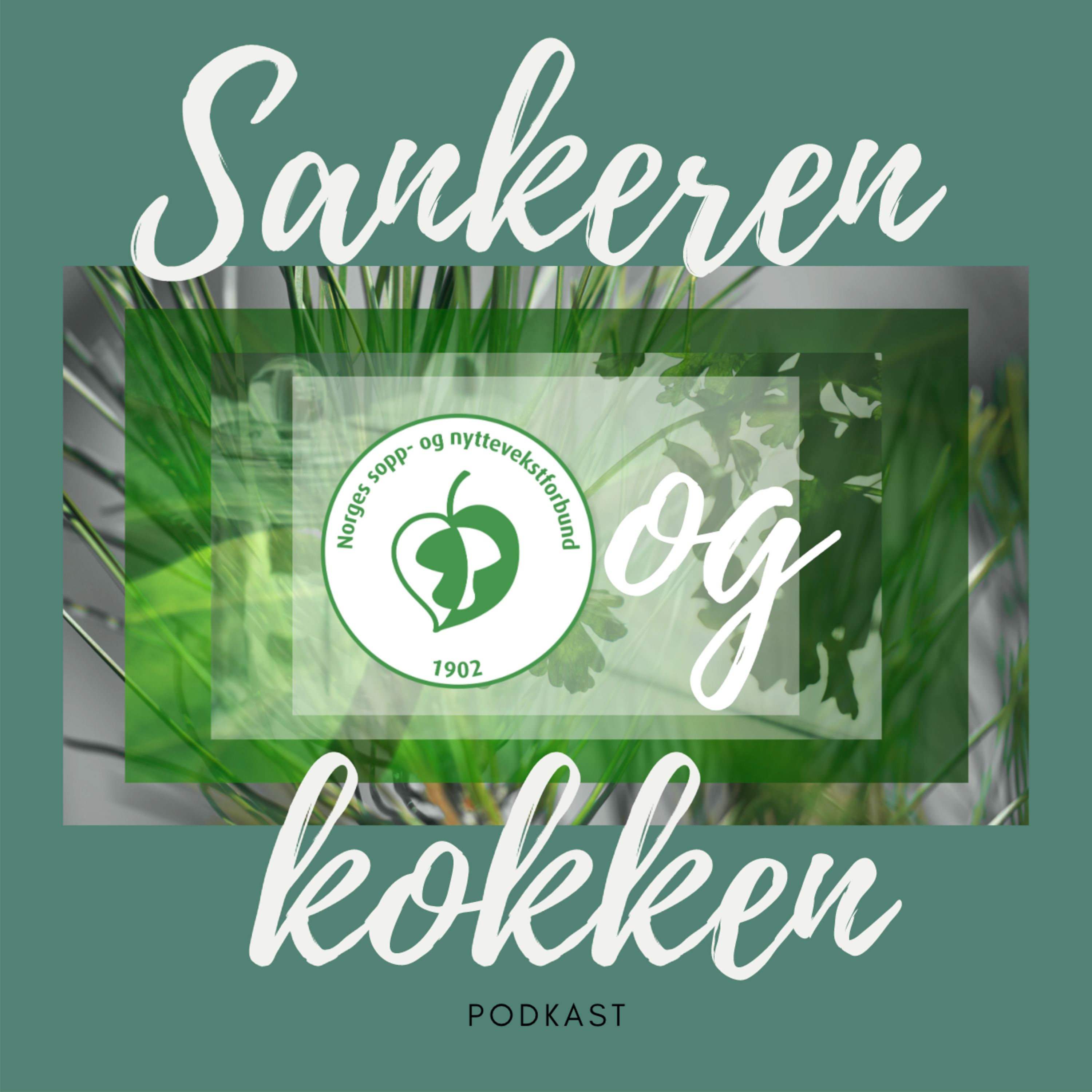 soppognyttevekster.no