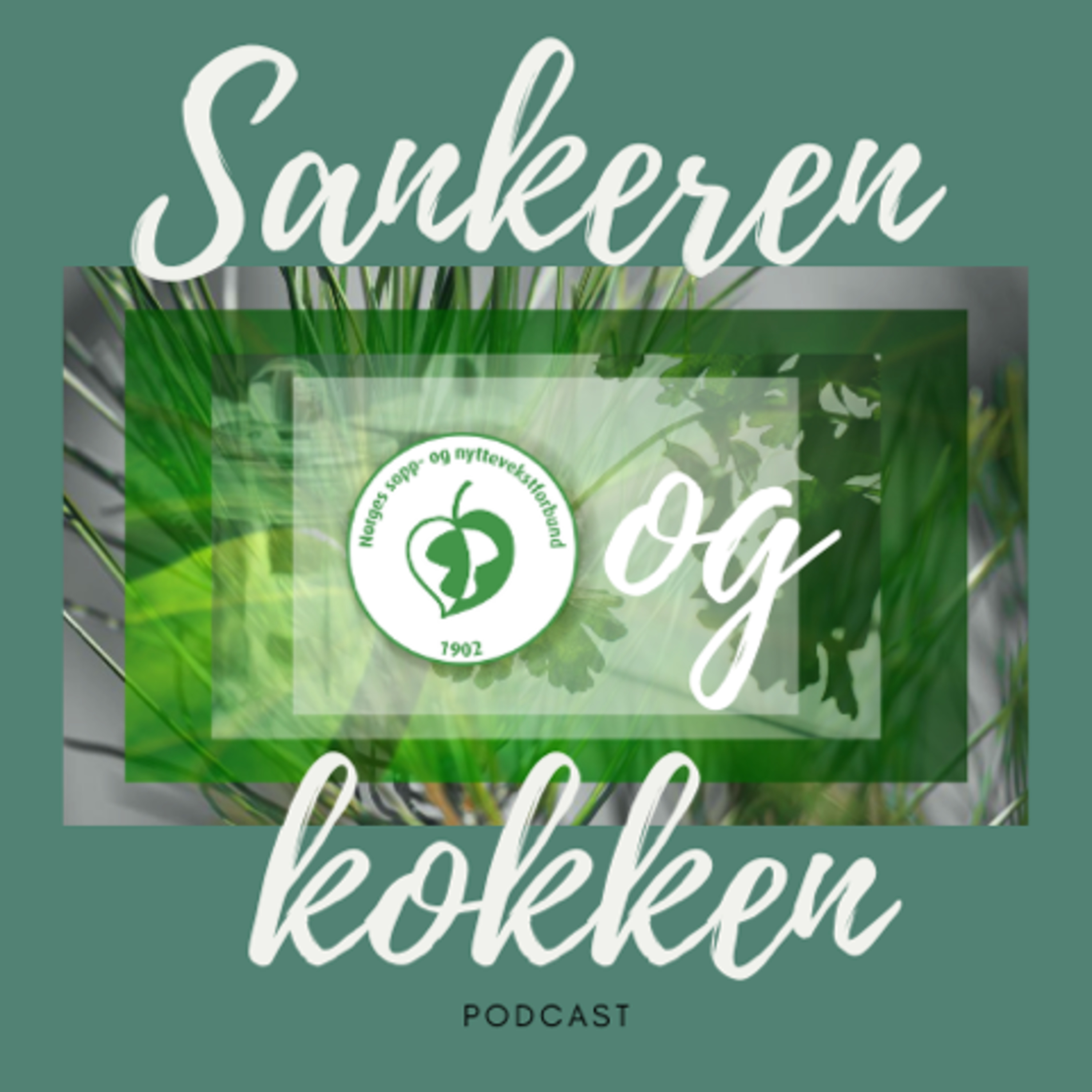 soppognyttevekster.no