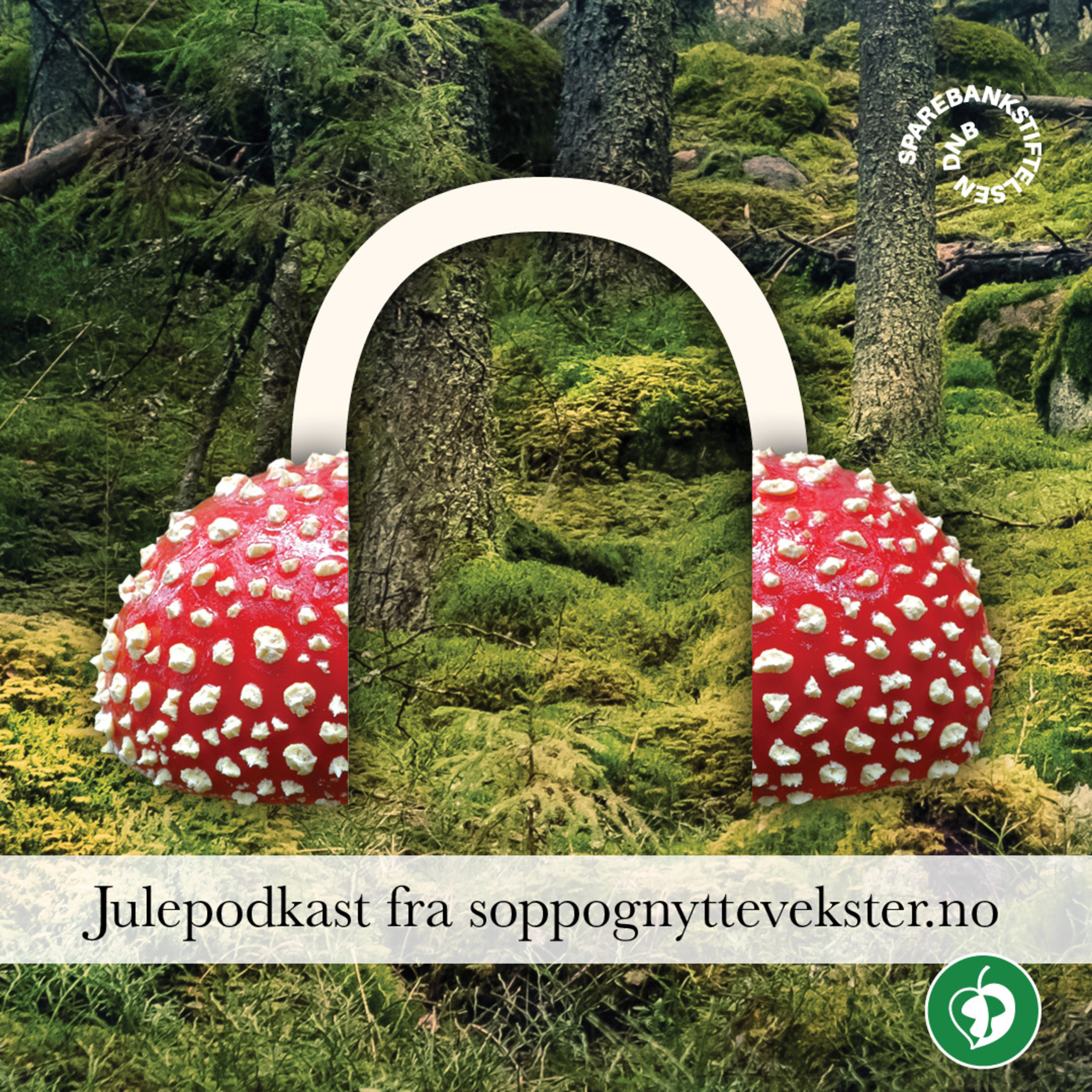 soppognyttevekster.no