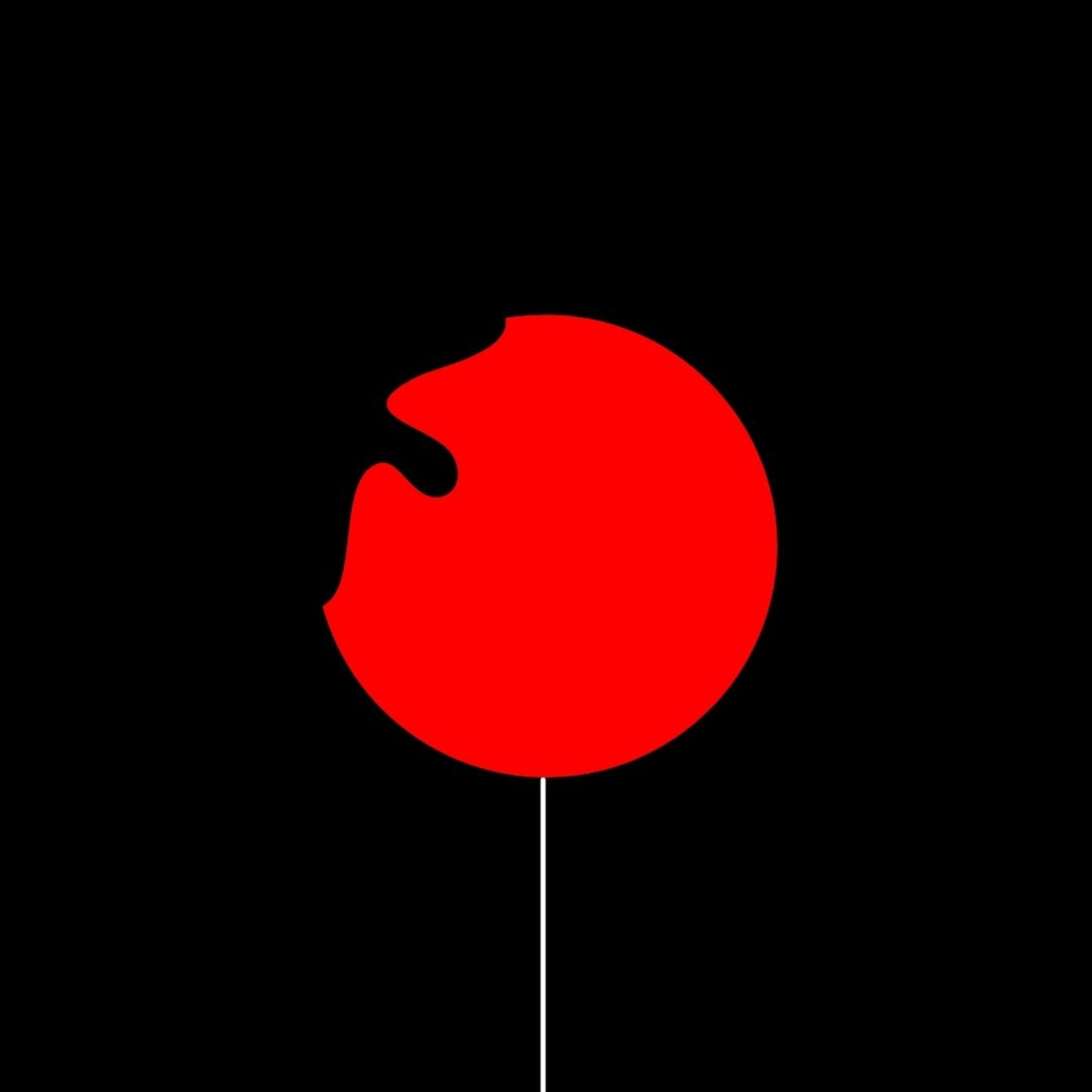 The Co Podcast