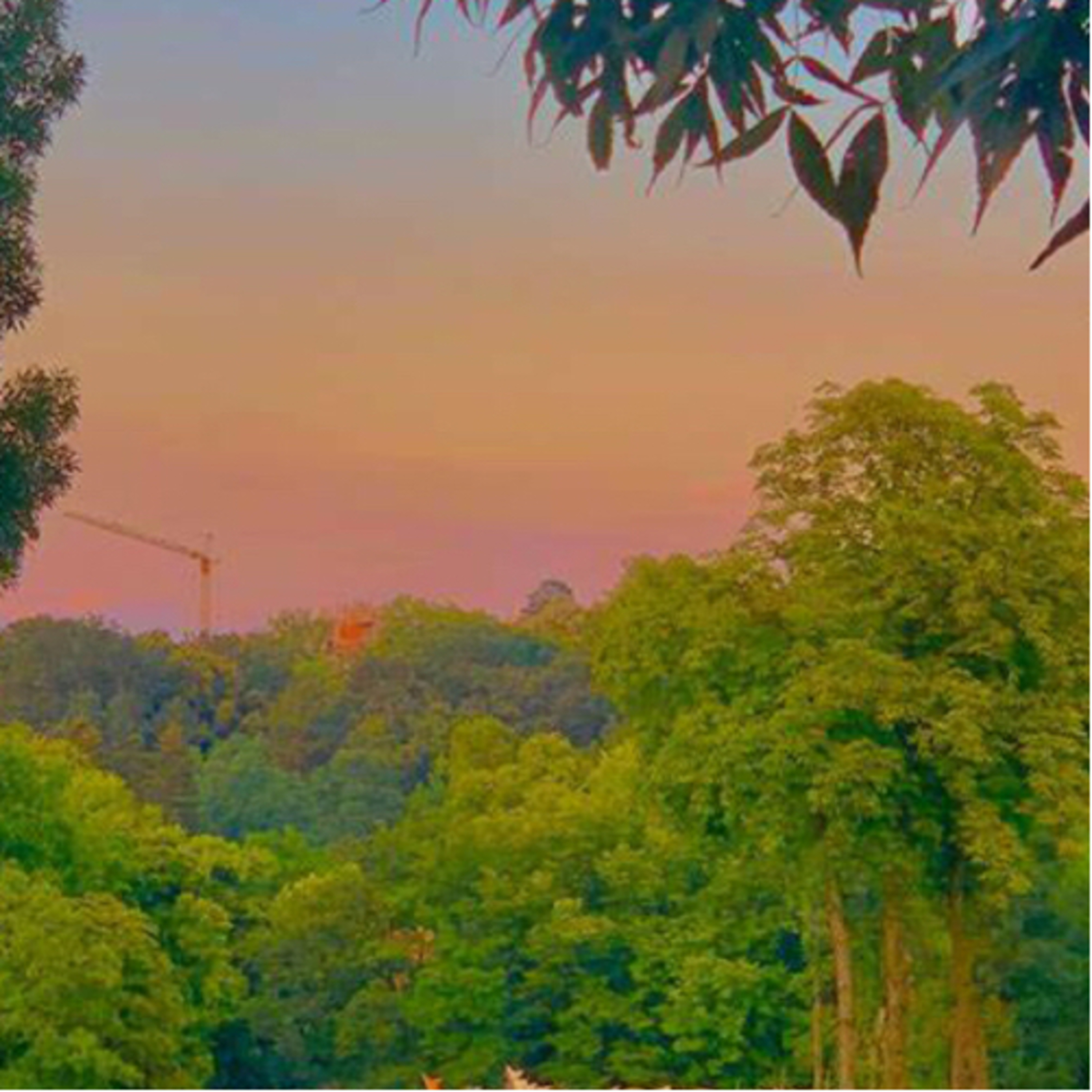 🌈🦋 𝕒𝕤𝕤𝕠𝕣𝕥𝕖𝕕, 𝕝𝕒𝕪𝕖𝕣𝕖𝕕 𝕒𝕤𝕞𝕣 𝕥𝕣𝕚𝕘𝕘𝕖𝕣𝕤 🦋🌈 ‼️ OLD ‼️ episode artwork