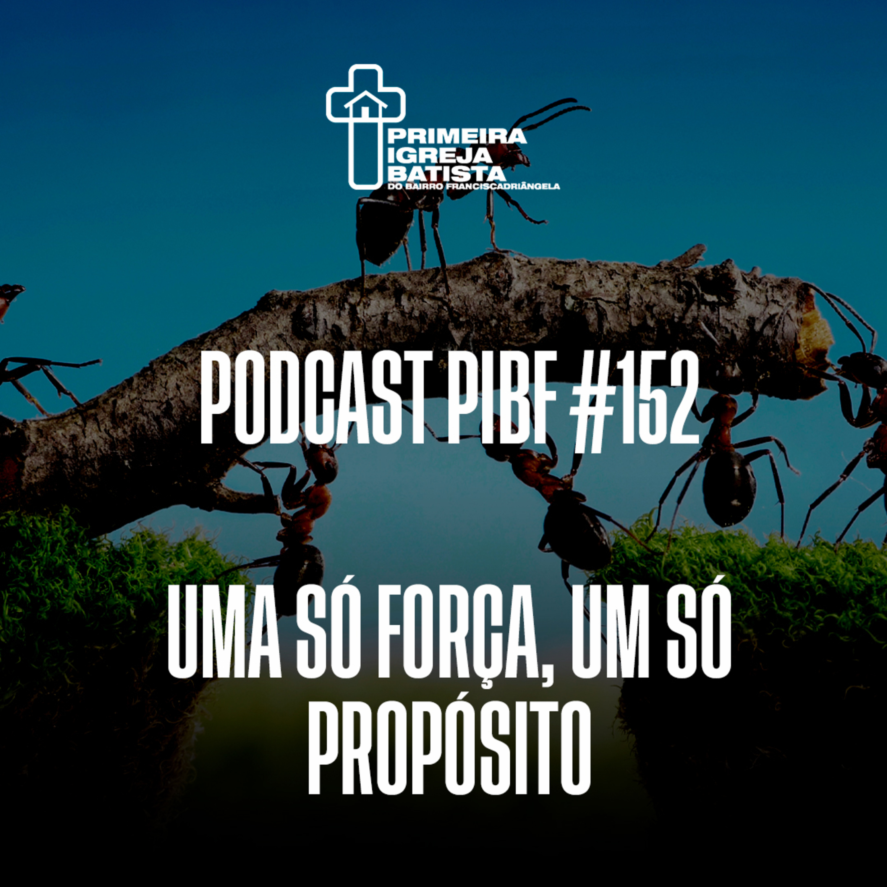 PodCast PIBF #152 / Uma só força, um só propósito episode artwork