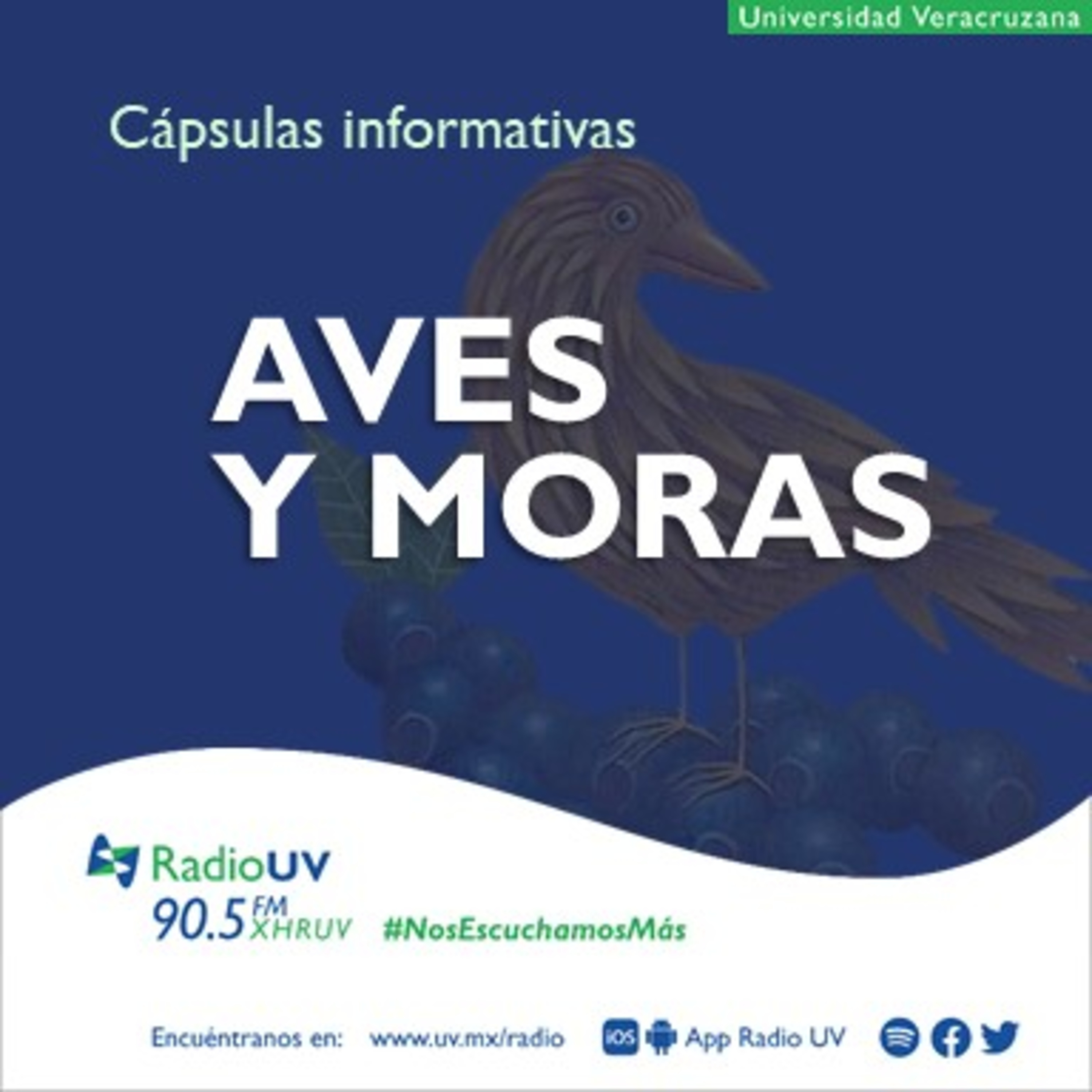 Aves y Moras  episode artwork