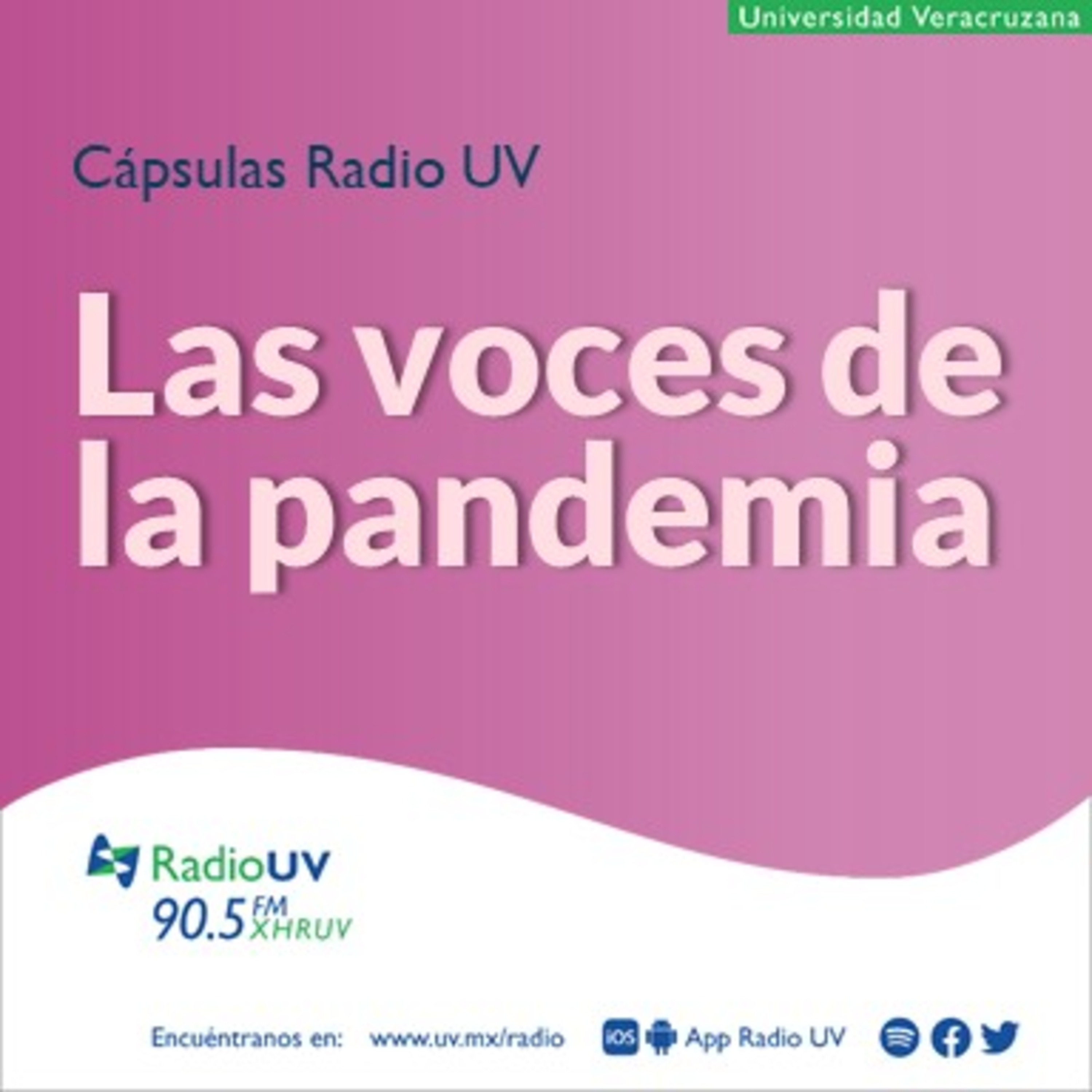 Voces de la pandemia - Agotamiento del sector médico por pandemia COVID