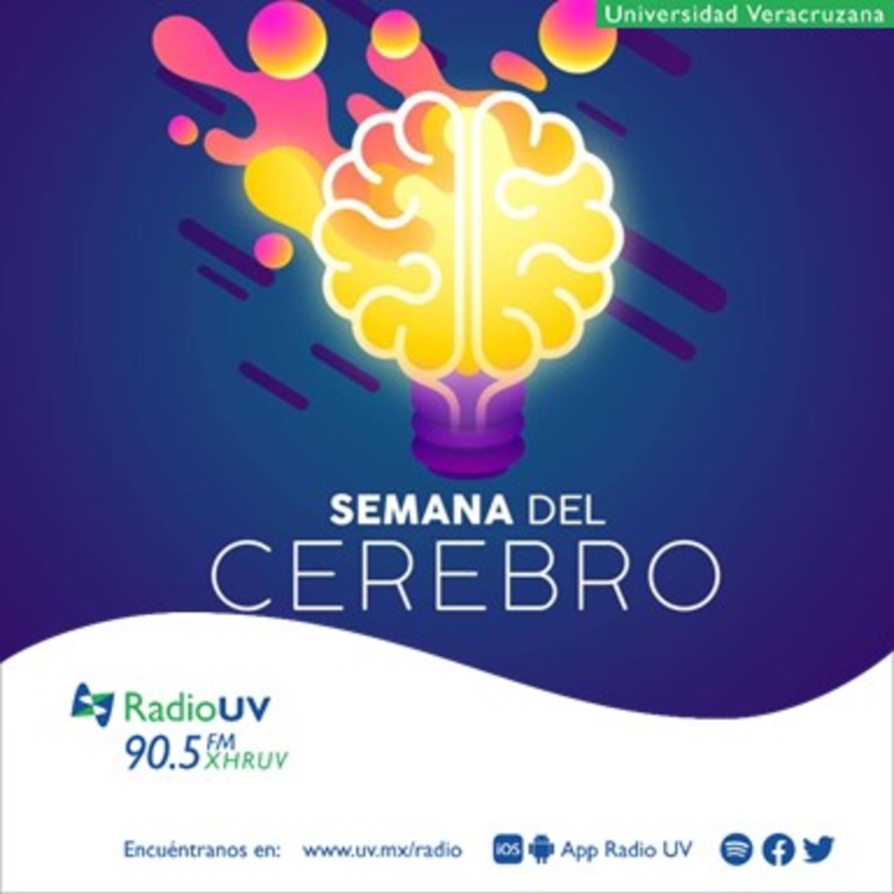Breves del cerebro - El atractivo sexual del cerebro 