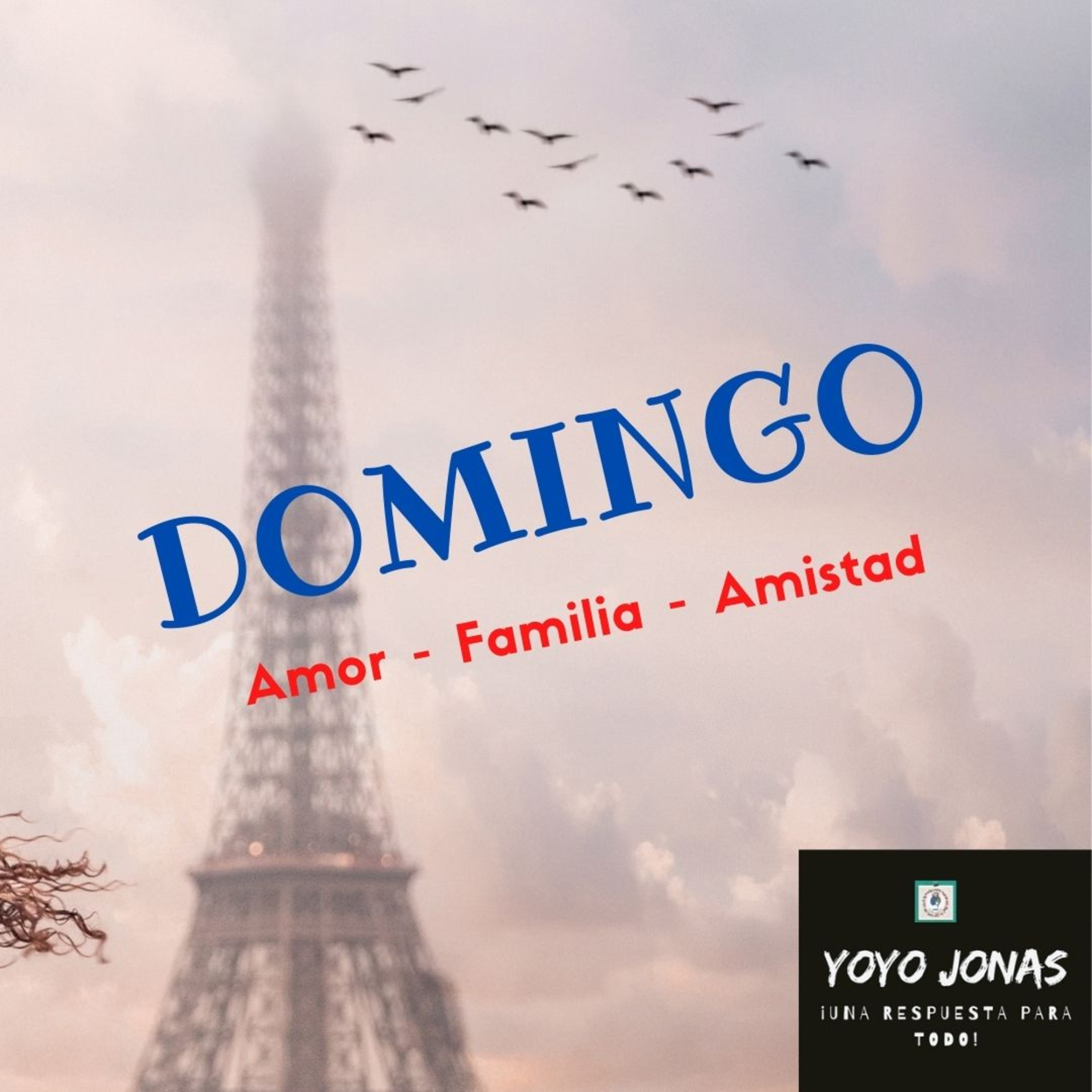 ¡ALGO NUEVO CADA DÍA!