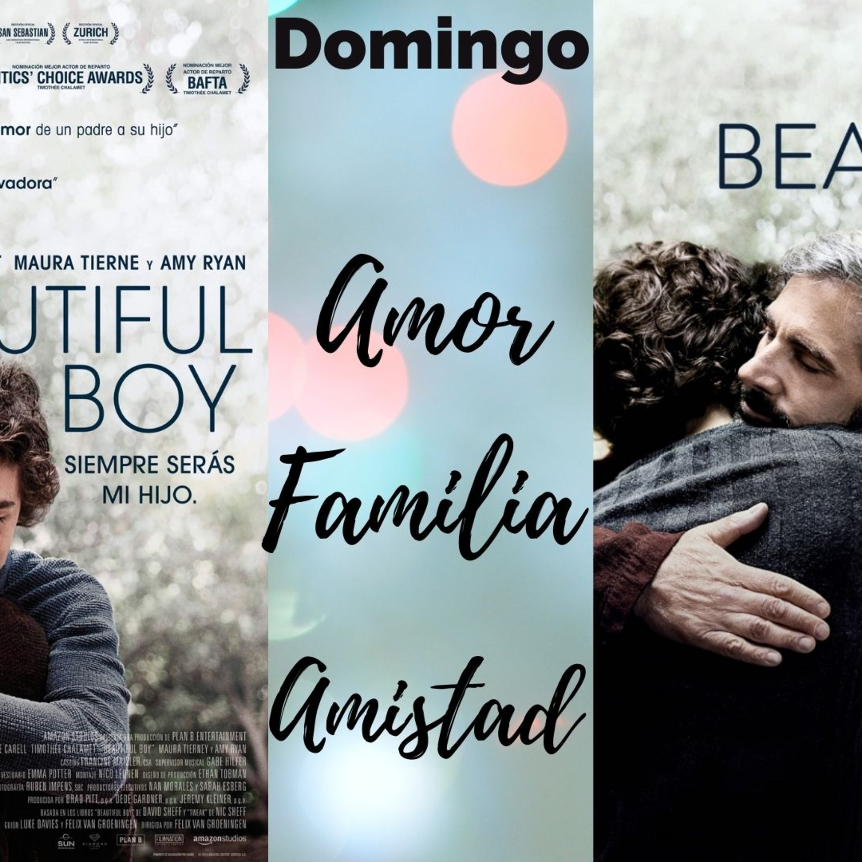 BEAUTIFUL BOY episode artwork