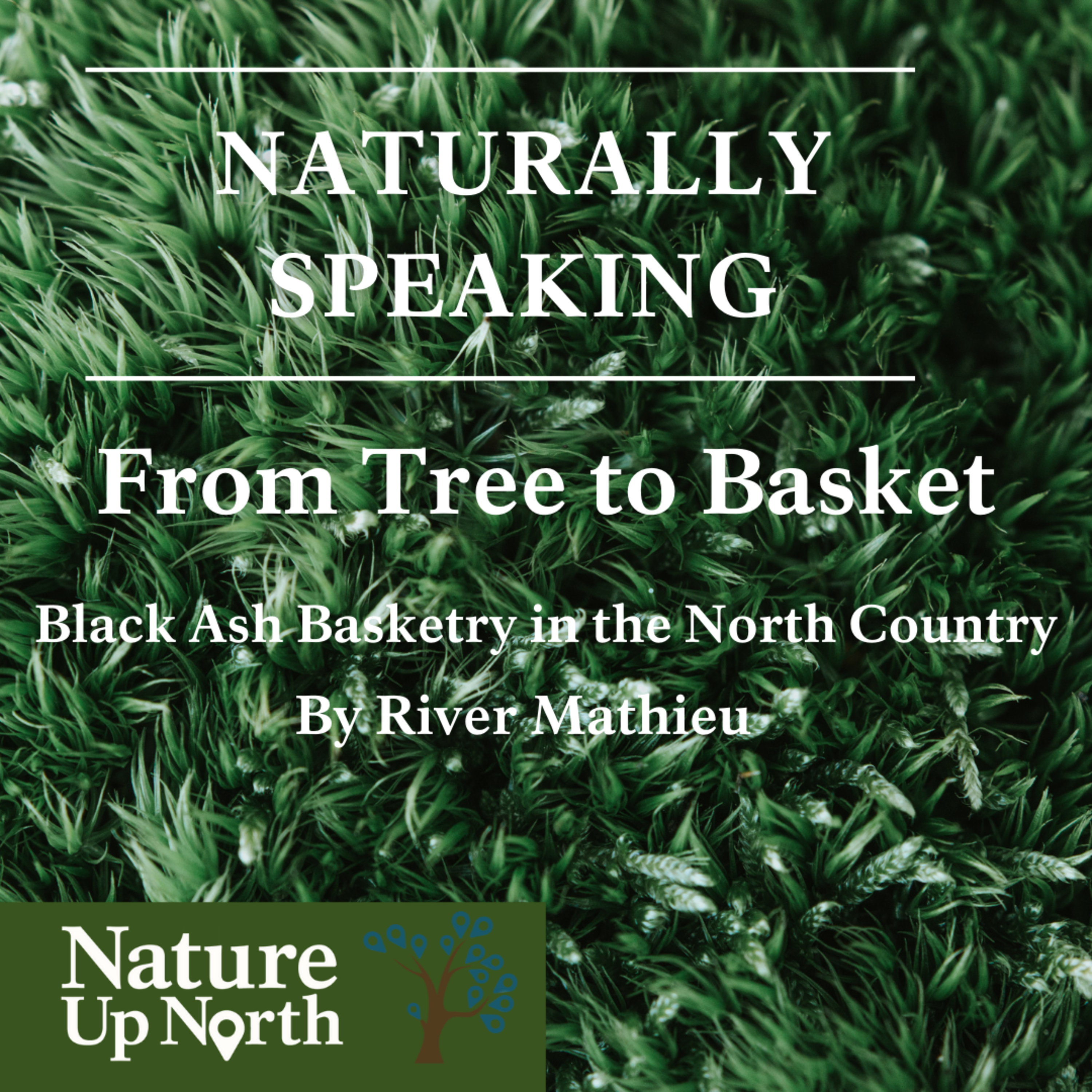 From Tree to Basket: Black Ash Basketry in the North Country episode artwork