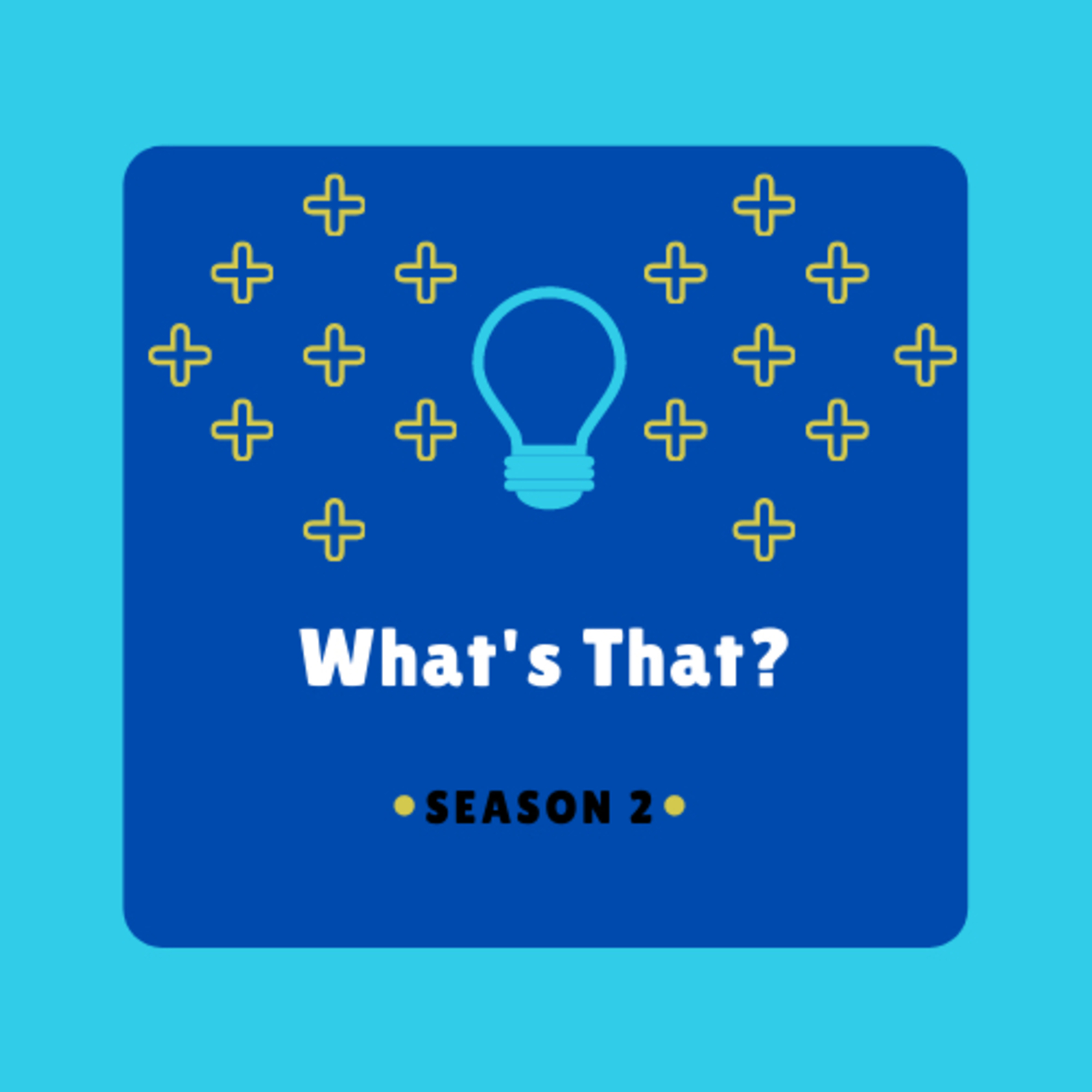 What’s That? Season 2 Episode 1: Friendship! episode artwork