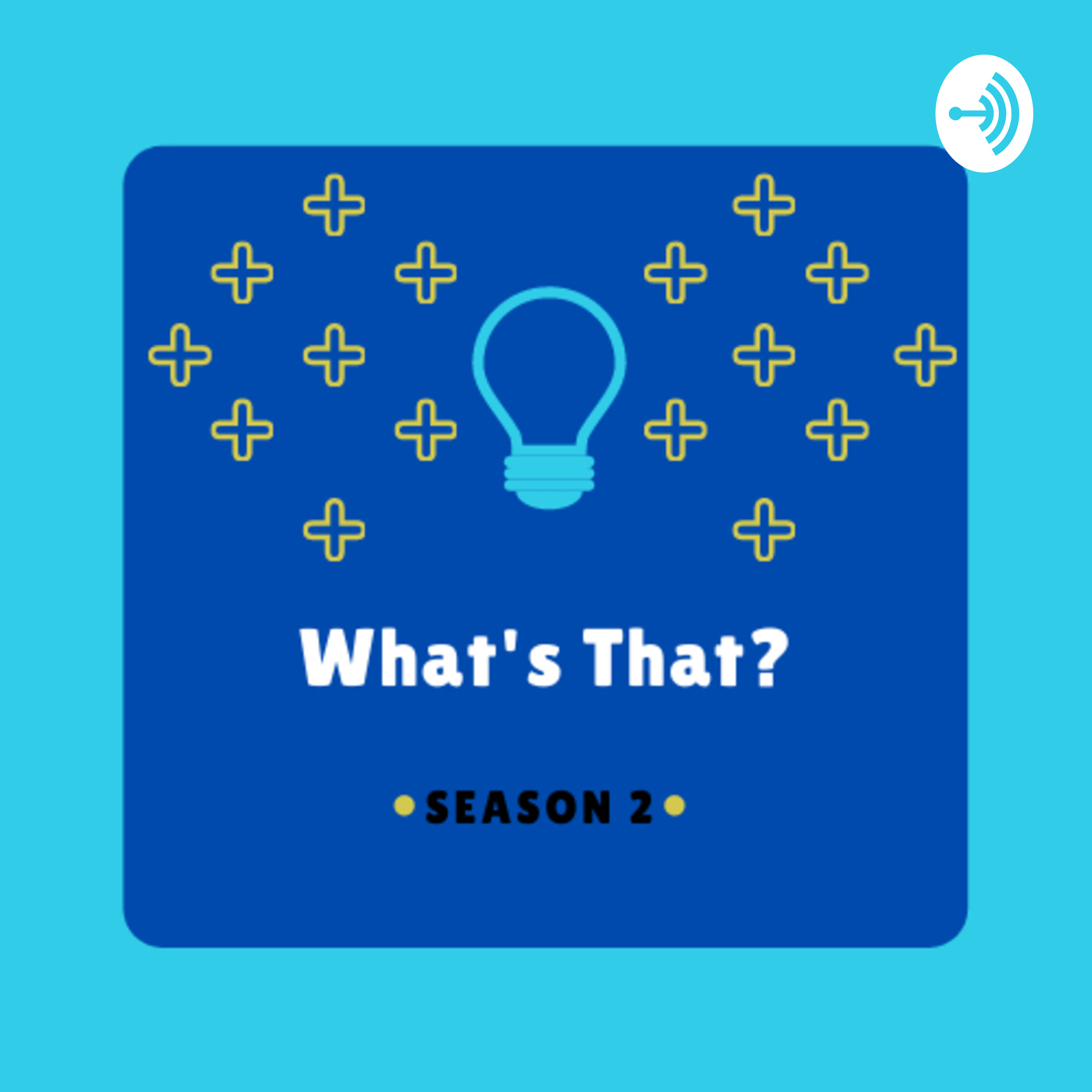 What’s That? Season 2 Episode 3: It’s a hobby! (With Allie Satterfield)