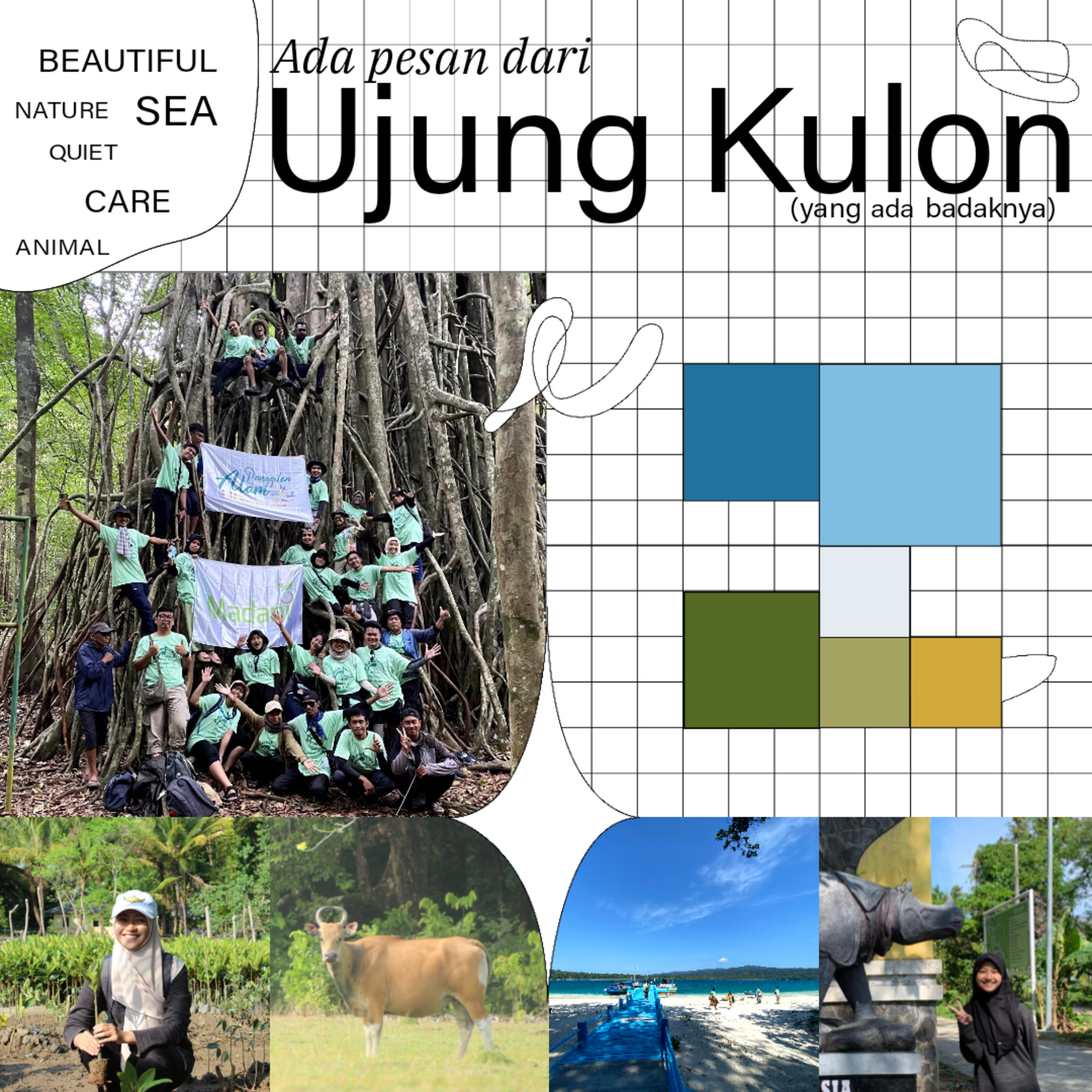Ada pesan dari Ujung Kulon  episode artwork