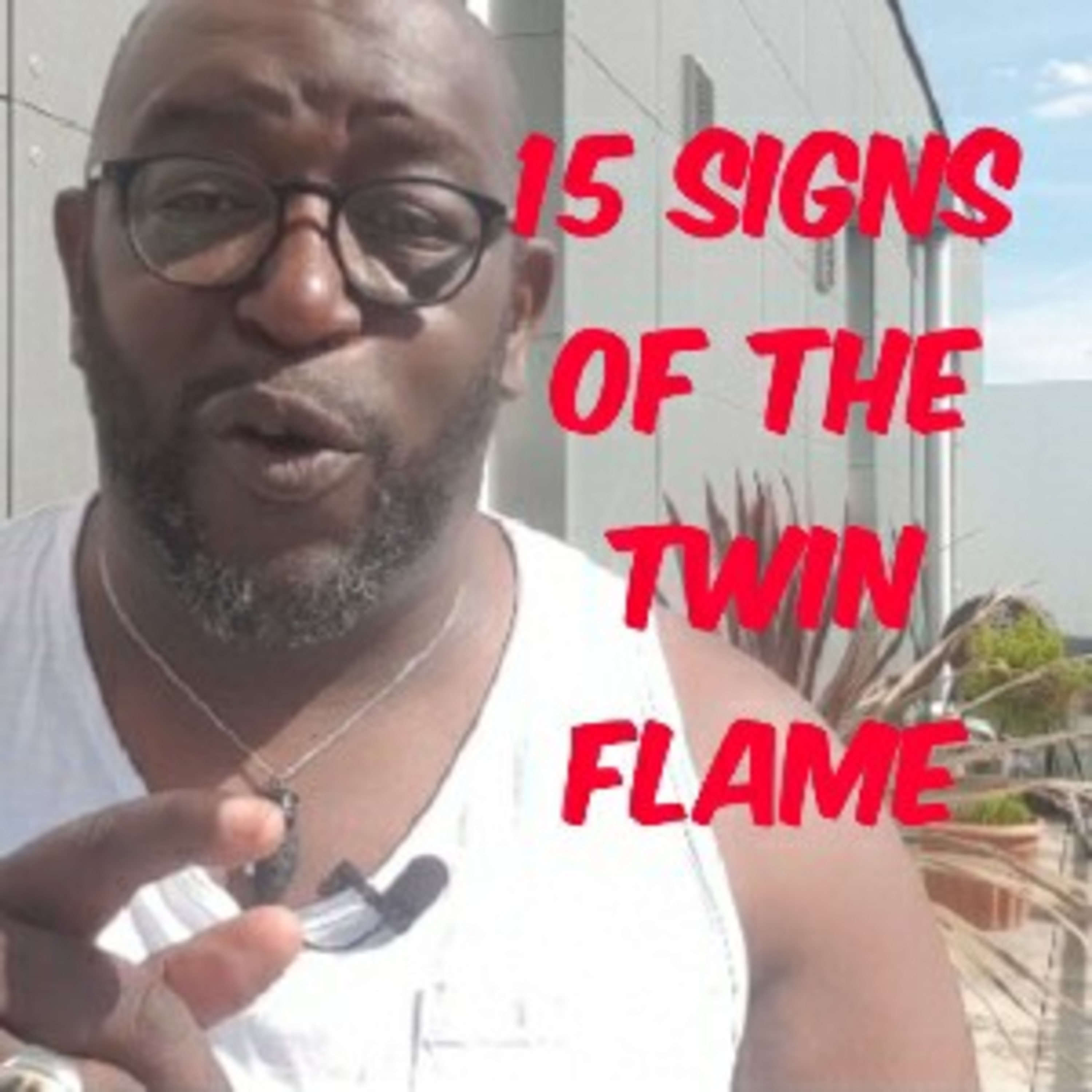 15 signs of the Twin flame episode artwork