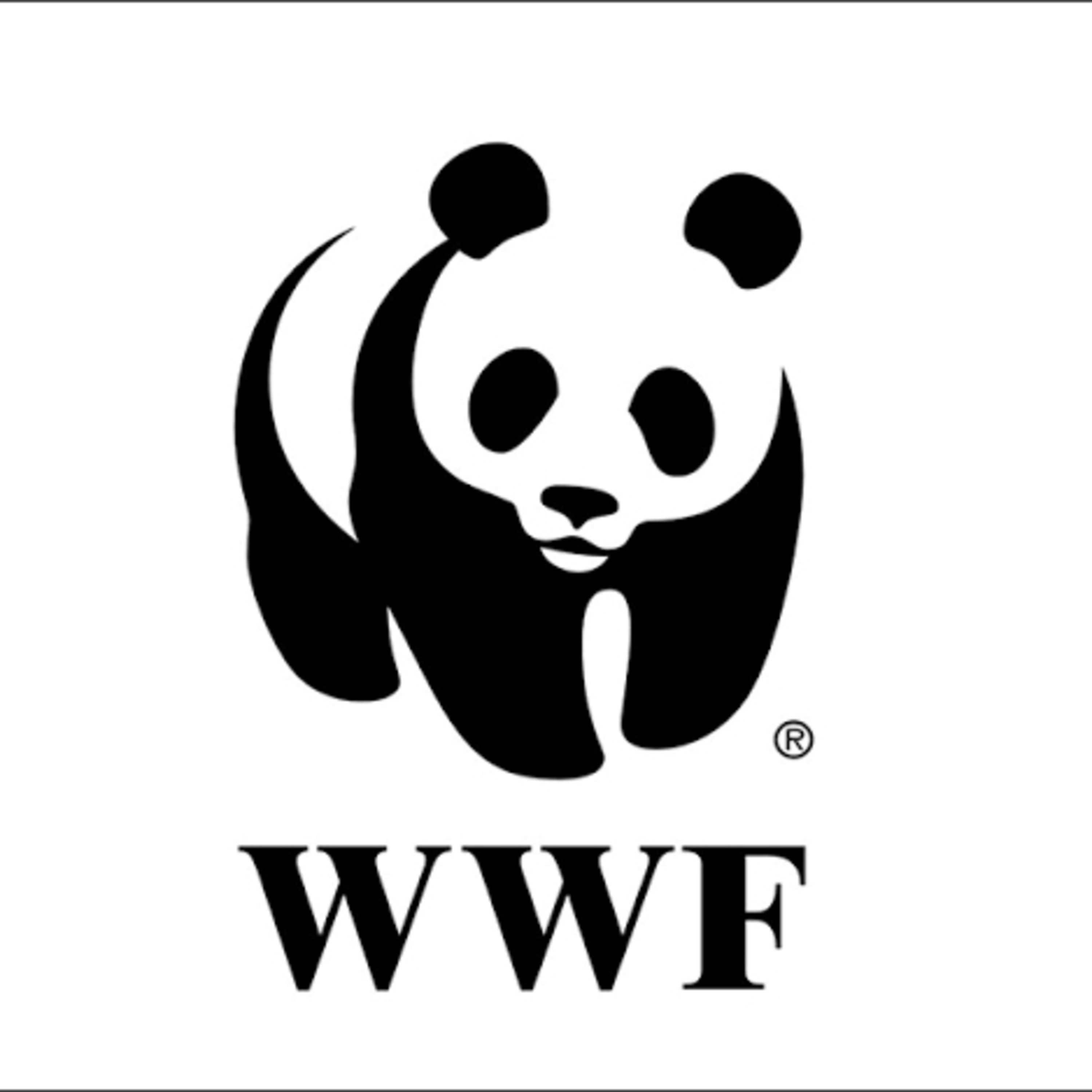 cover of episode World Wildlife