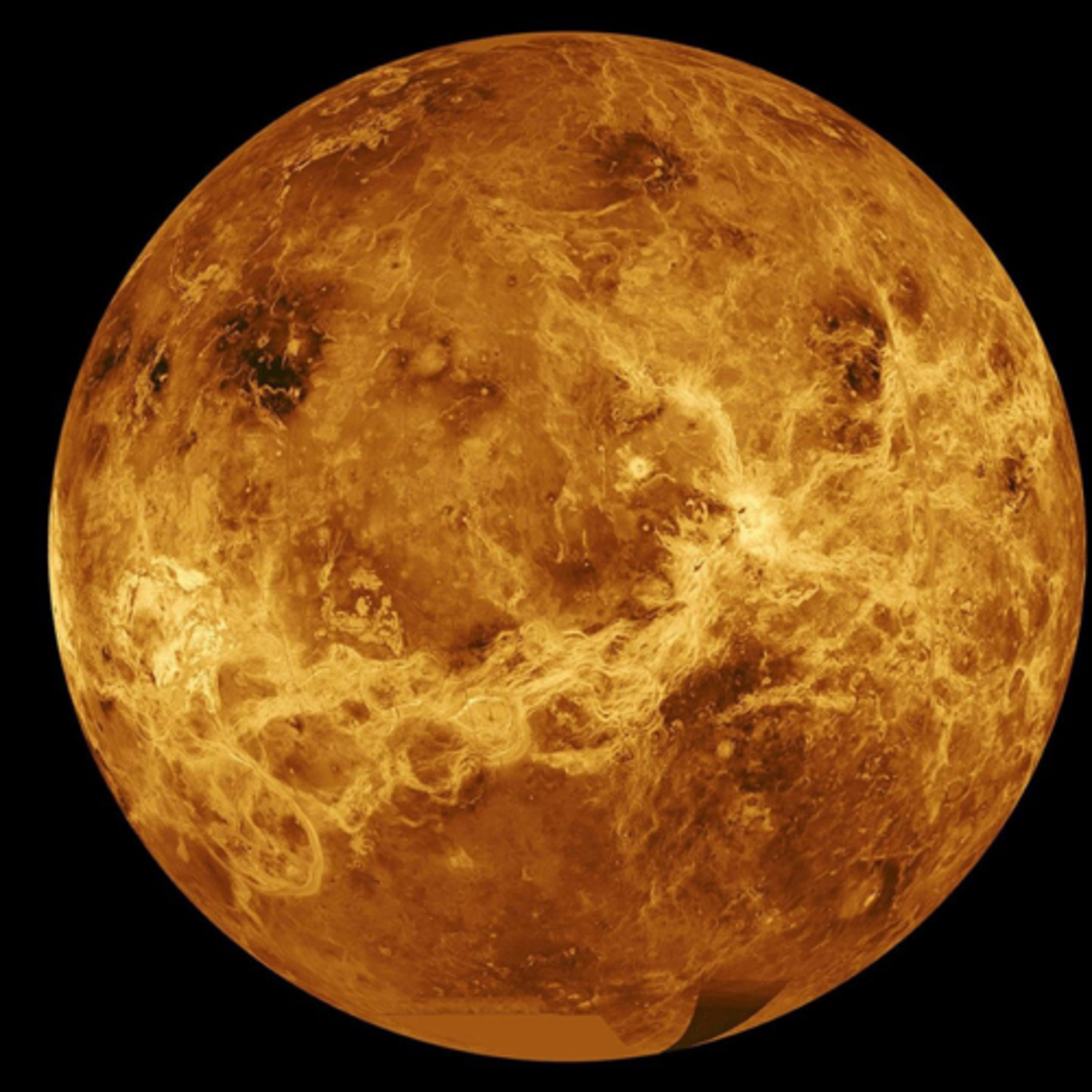 cover of episode Alien Life 