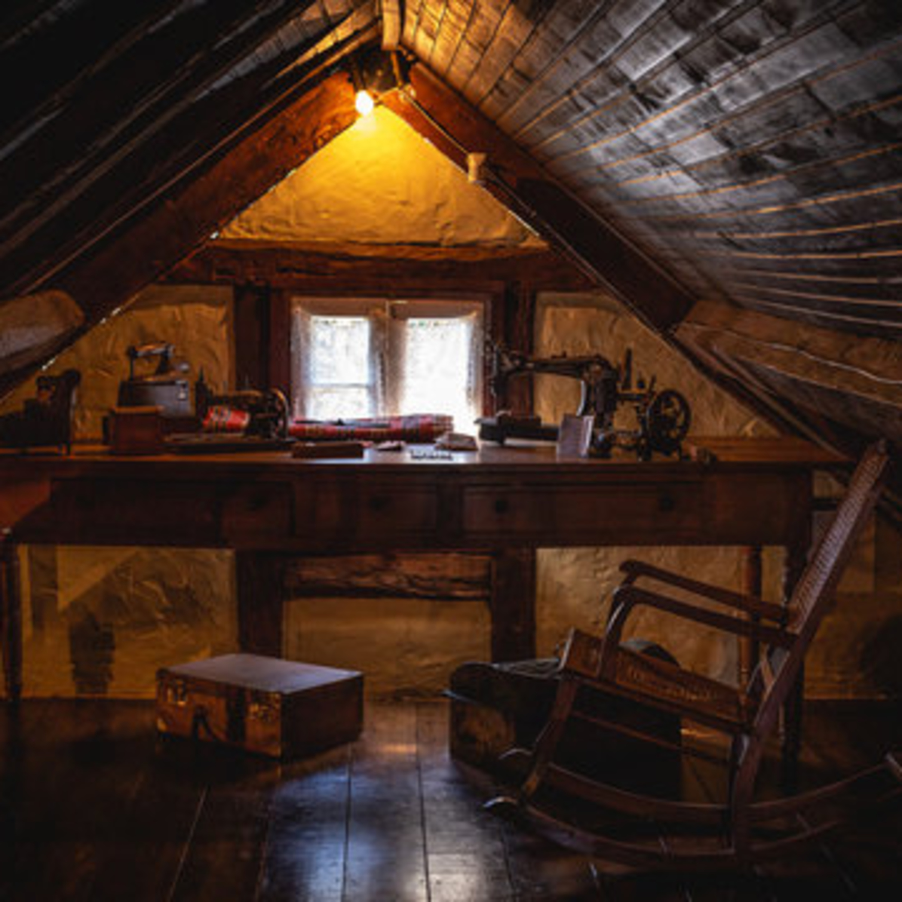 A Literary Cornucopia
