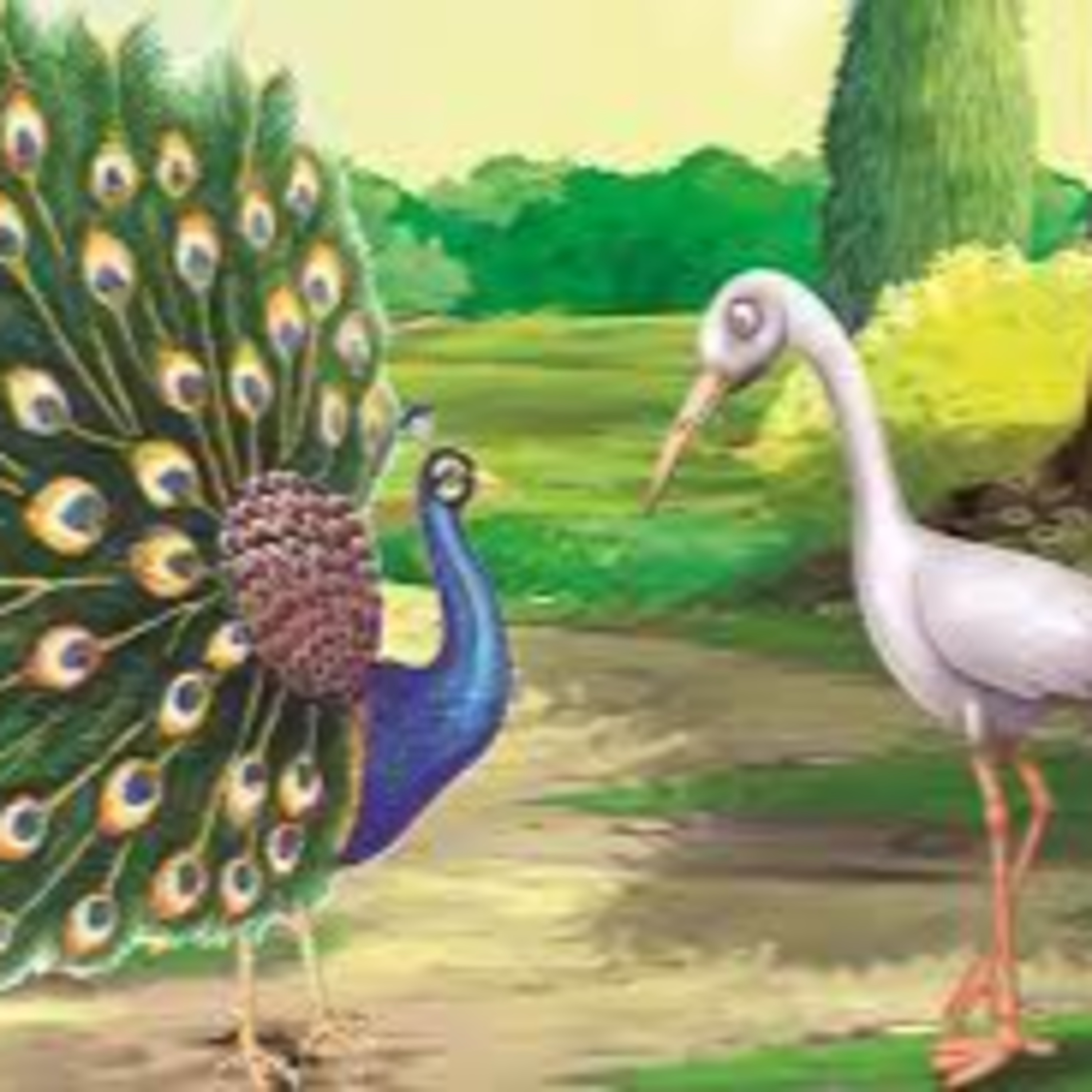 El pavo real y la grulla. Participa Vicky Cázares . Región Norte episode artwork