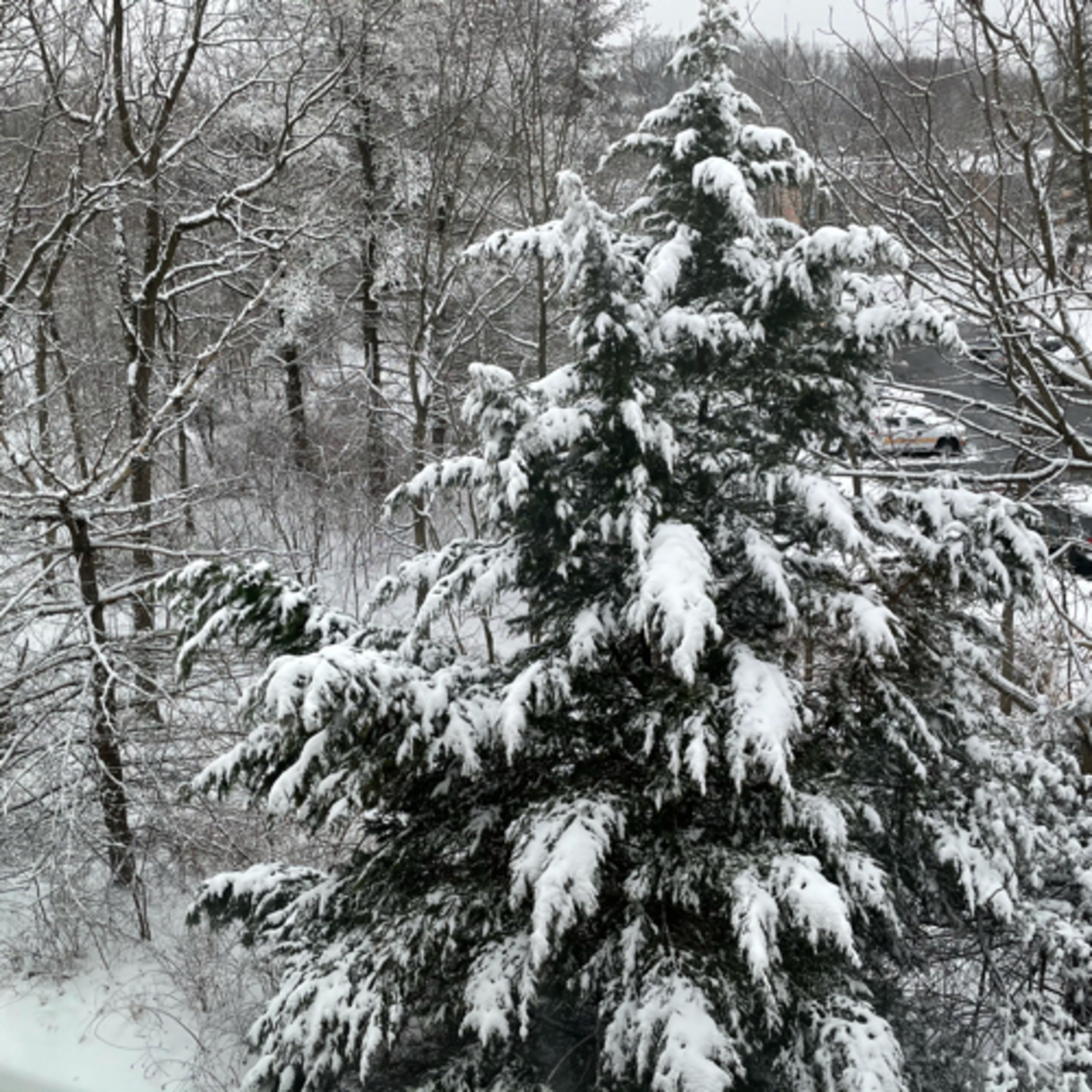 The Outgoing Plow